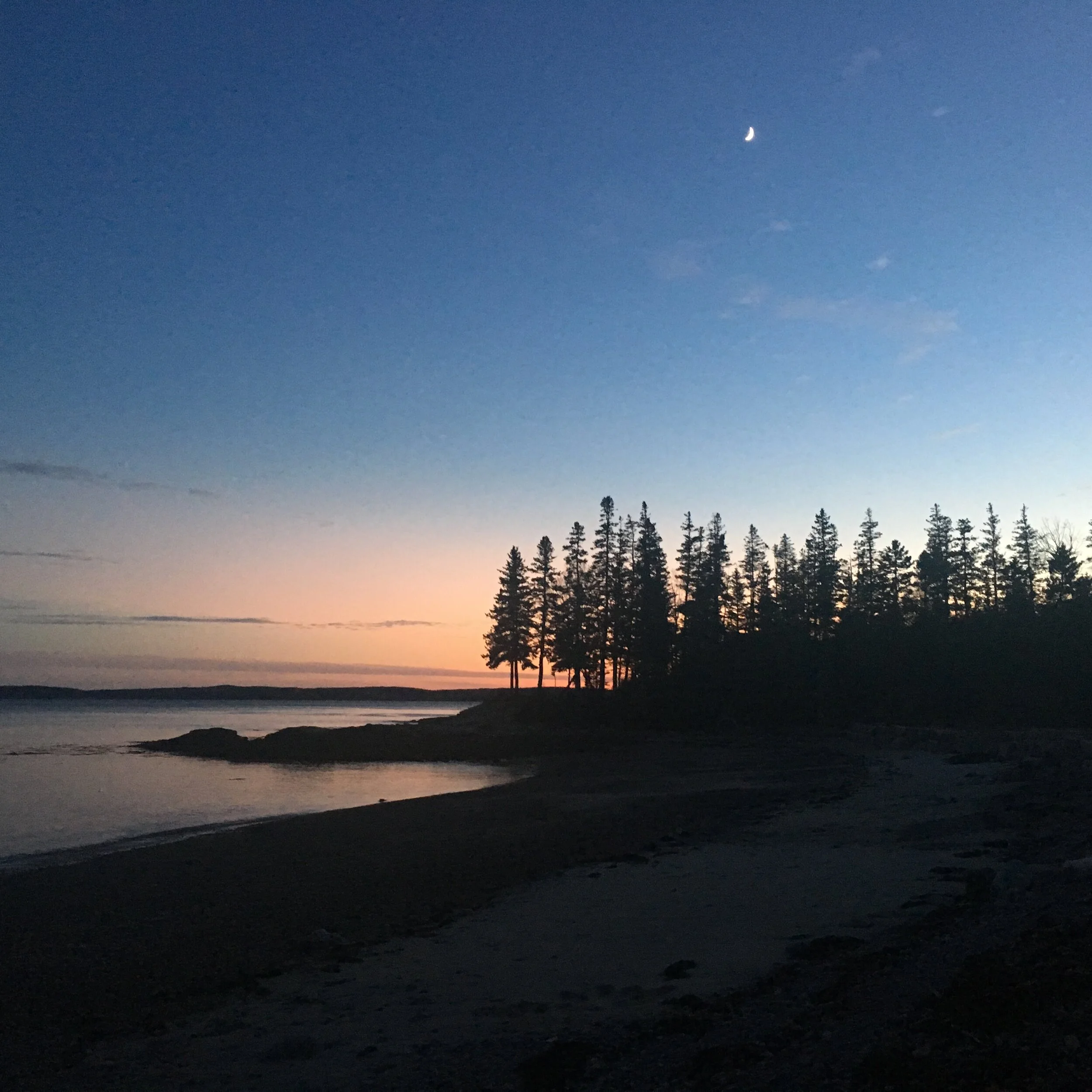 3 Winter Yoga Workshops !