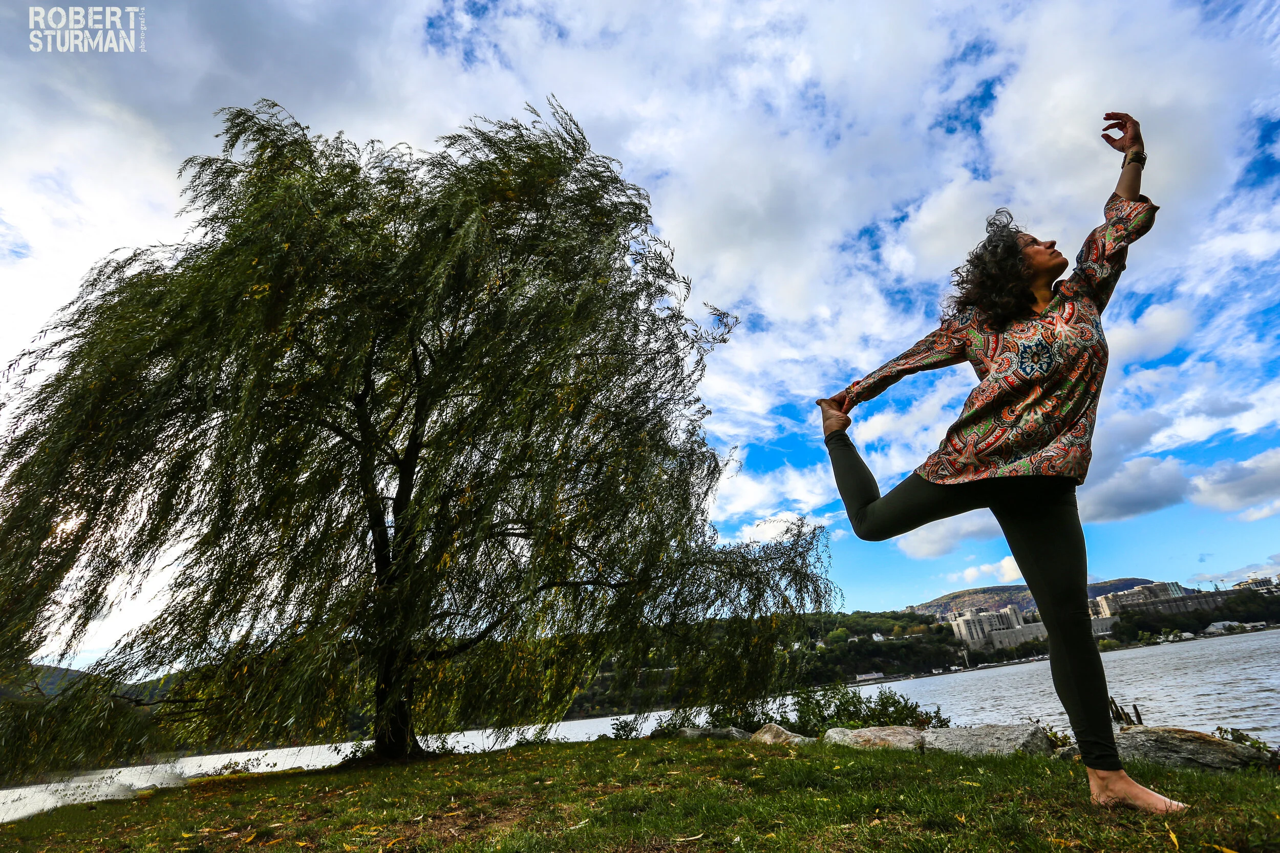 ROOT down, Grow and LOOK 