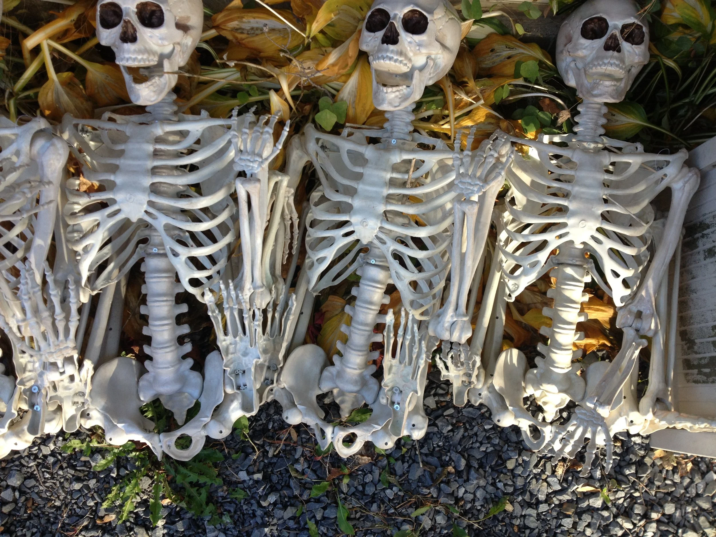 The Space In Between 