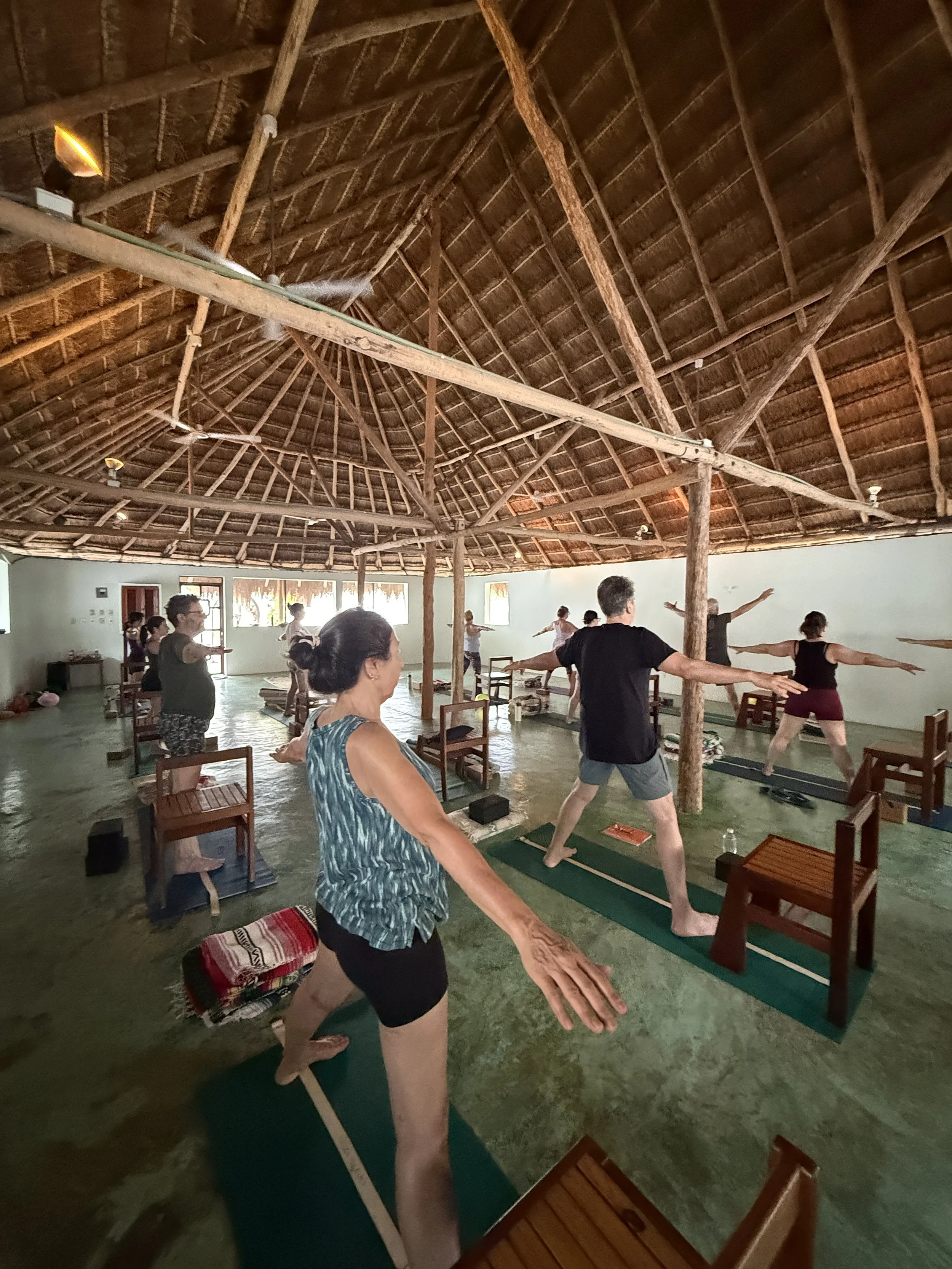 align and refine asana practice with Heartful Yoga by Dani.JPG