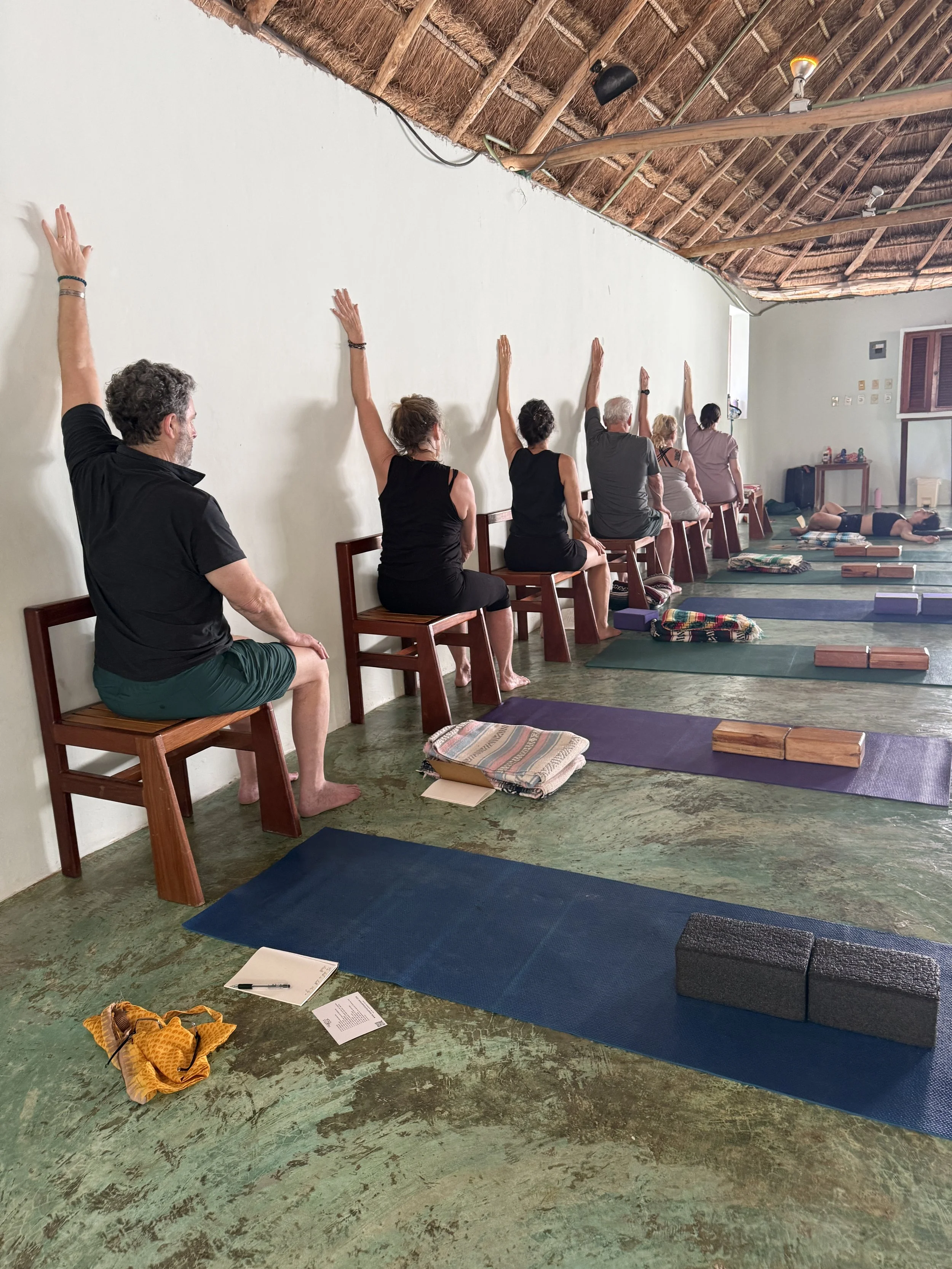 Yoga therapuetics for shoulder with Dani.JPG
