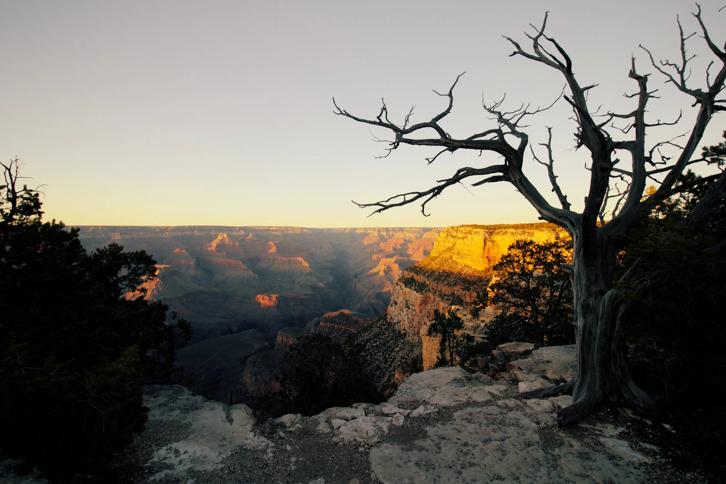 Being Rooted in the Body