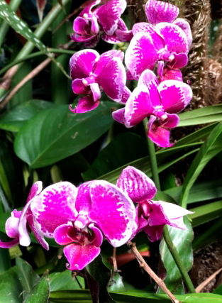 Rage, Anger, Grief and Exhaustion 