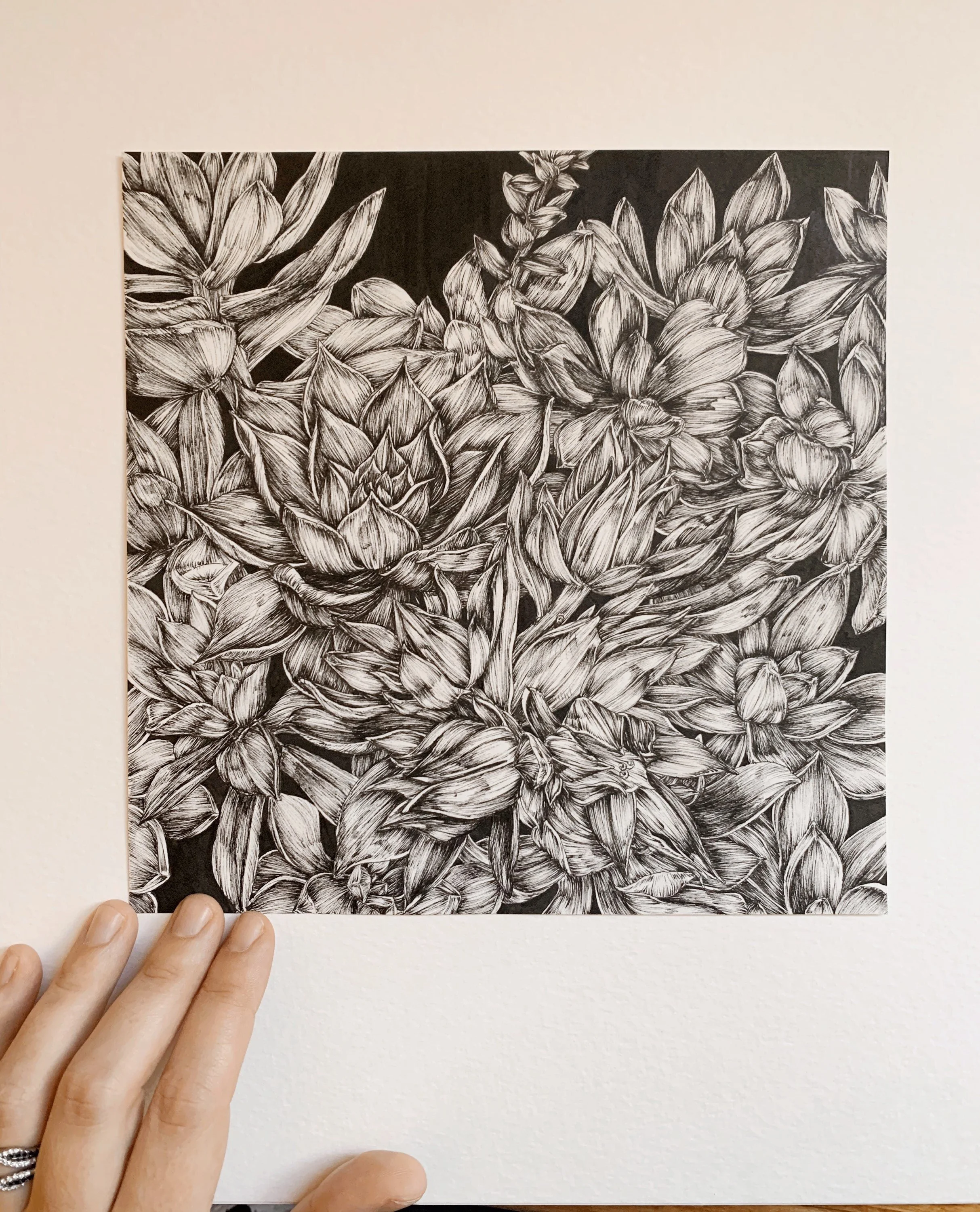 Plant Portraits - Custom Plant Illustrations