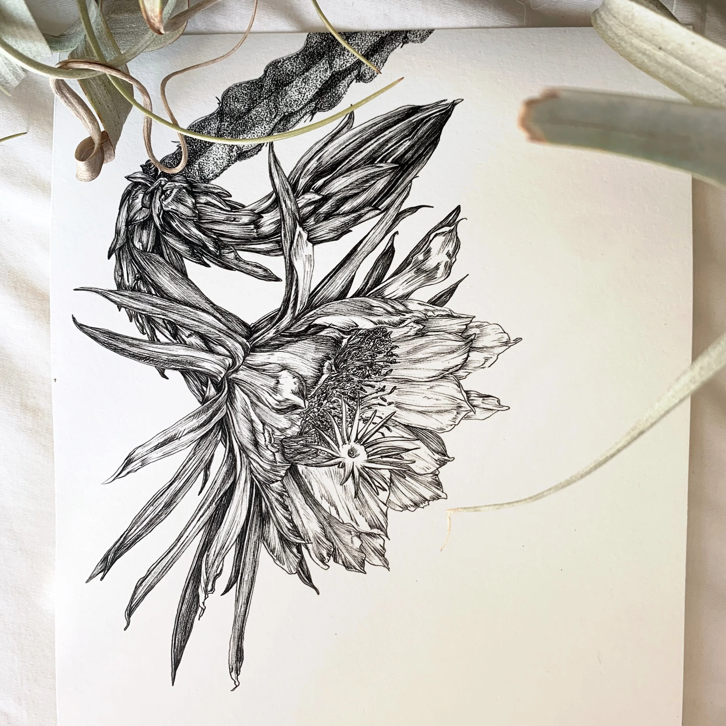 B19017A9-B15B-4EEE-8281-AC277EA99B34