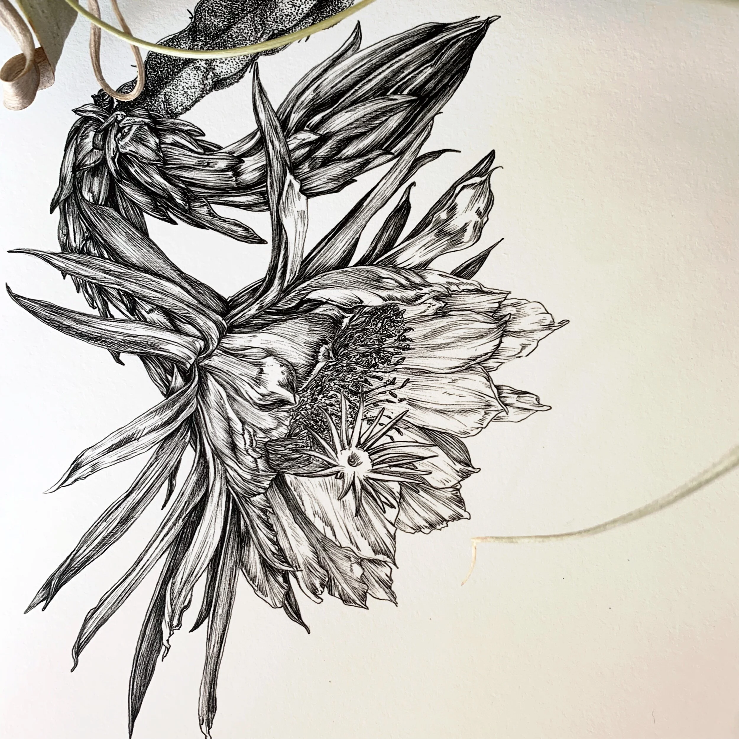 4D0553CD-5C39-4AB7-B081-65B4582817E1