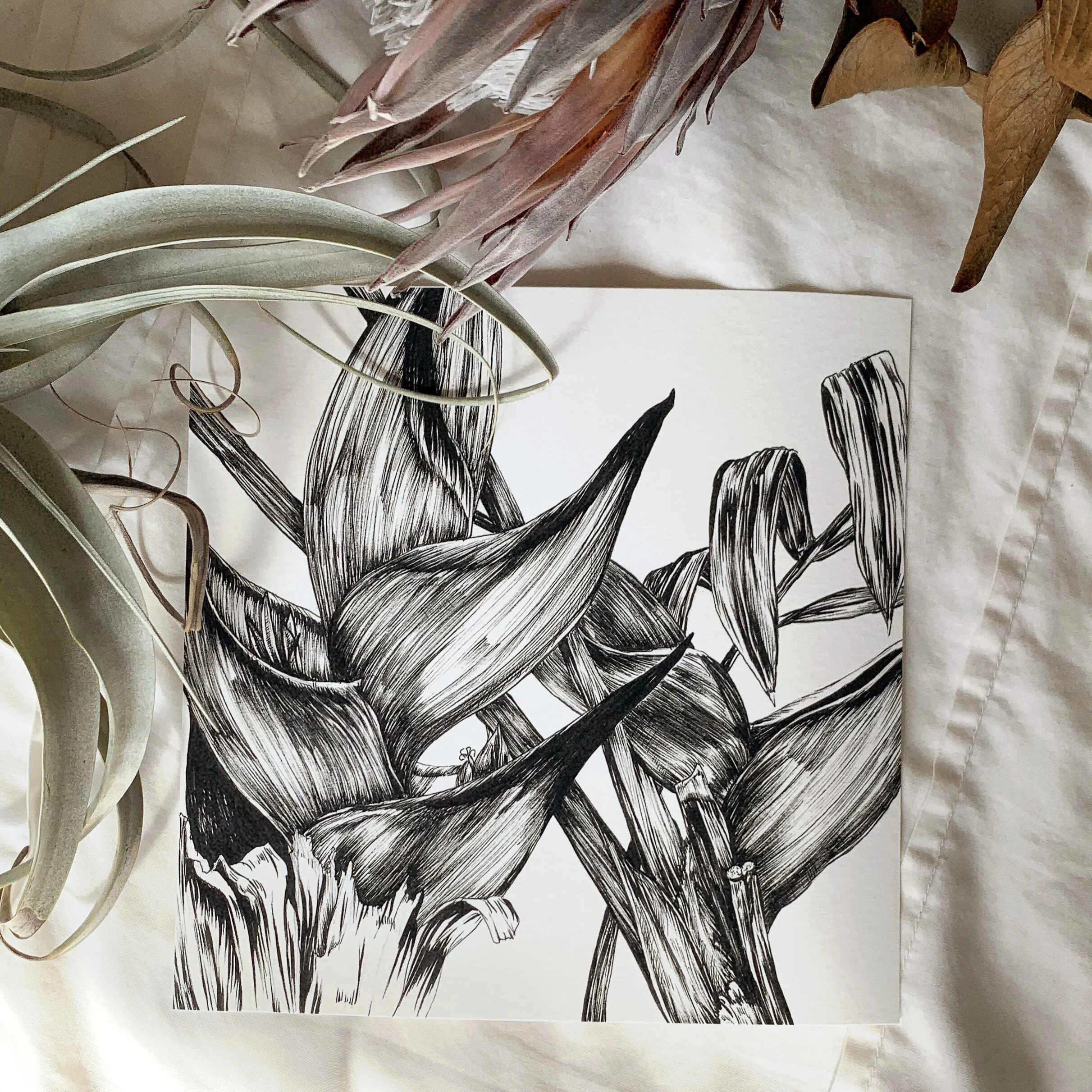 EB0CA8B0-6E3C-4BFD-B053-BA9E525B301D