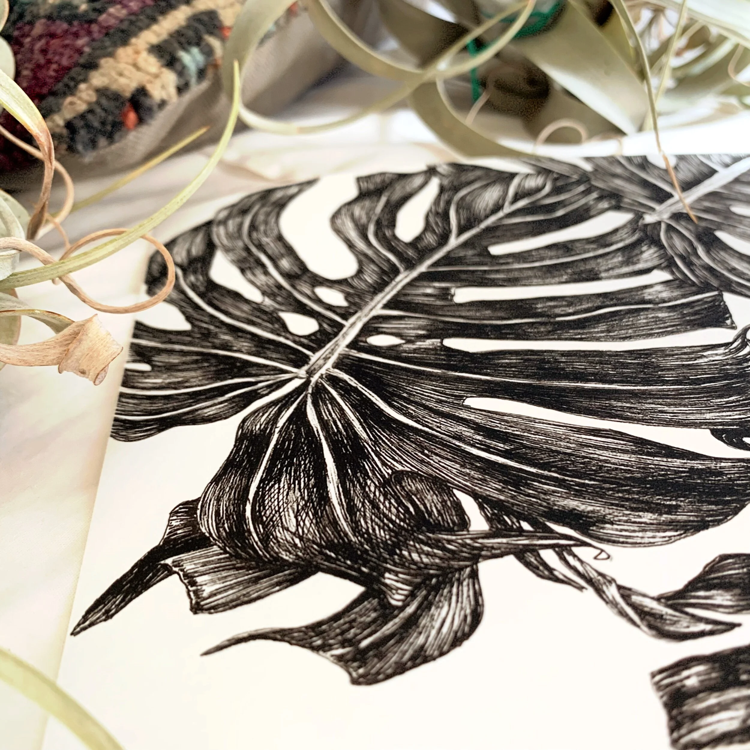 CEBC4E50-726A-4A73-9655-12AD74BBDBA5