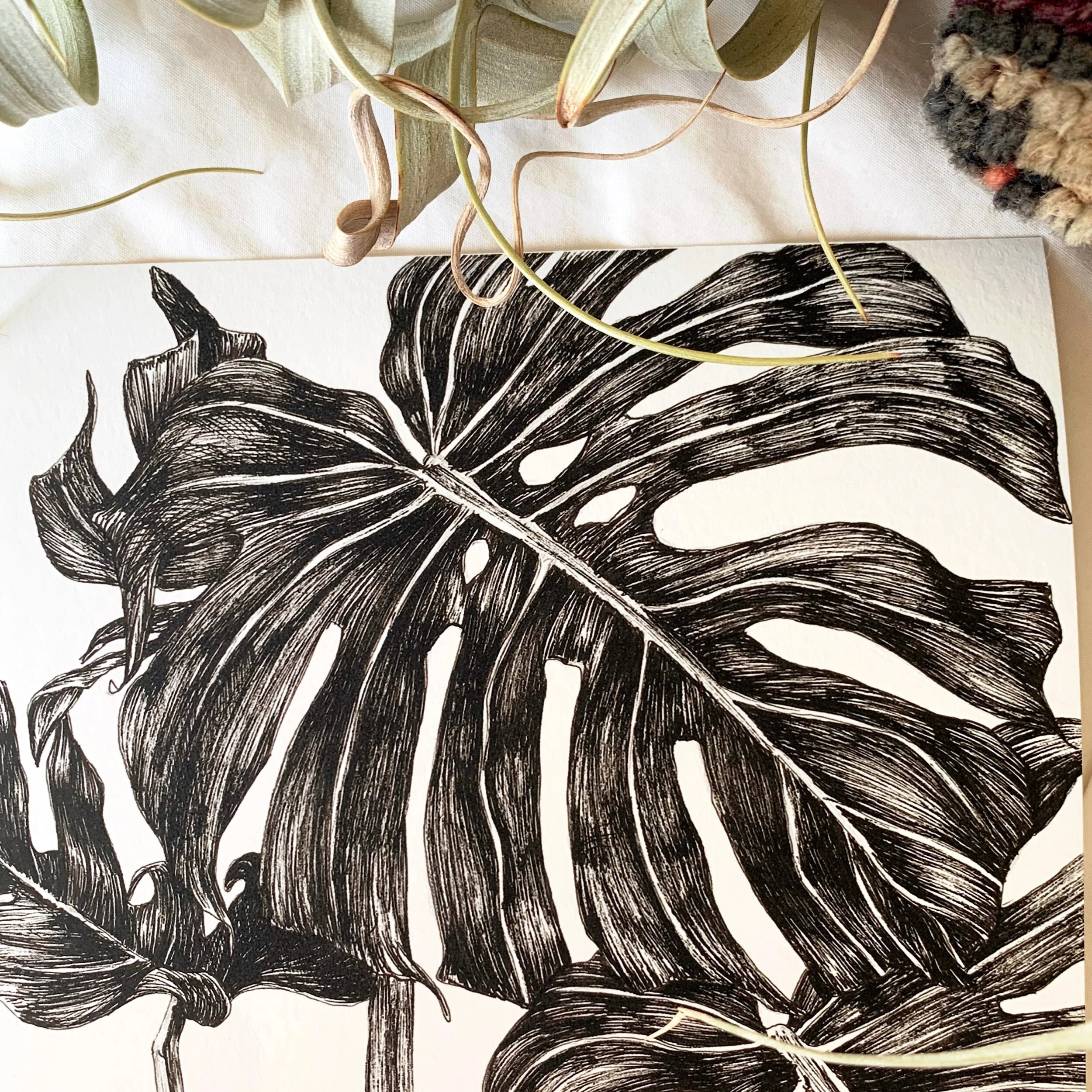 AC5125DD-BE53-44A3-938F-8C105C5668AD