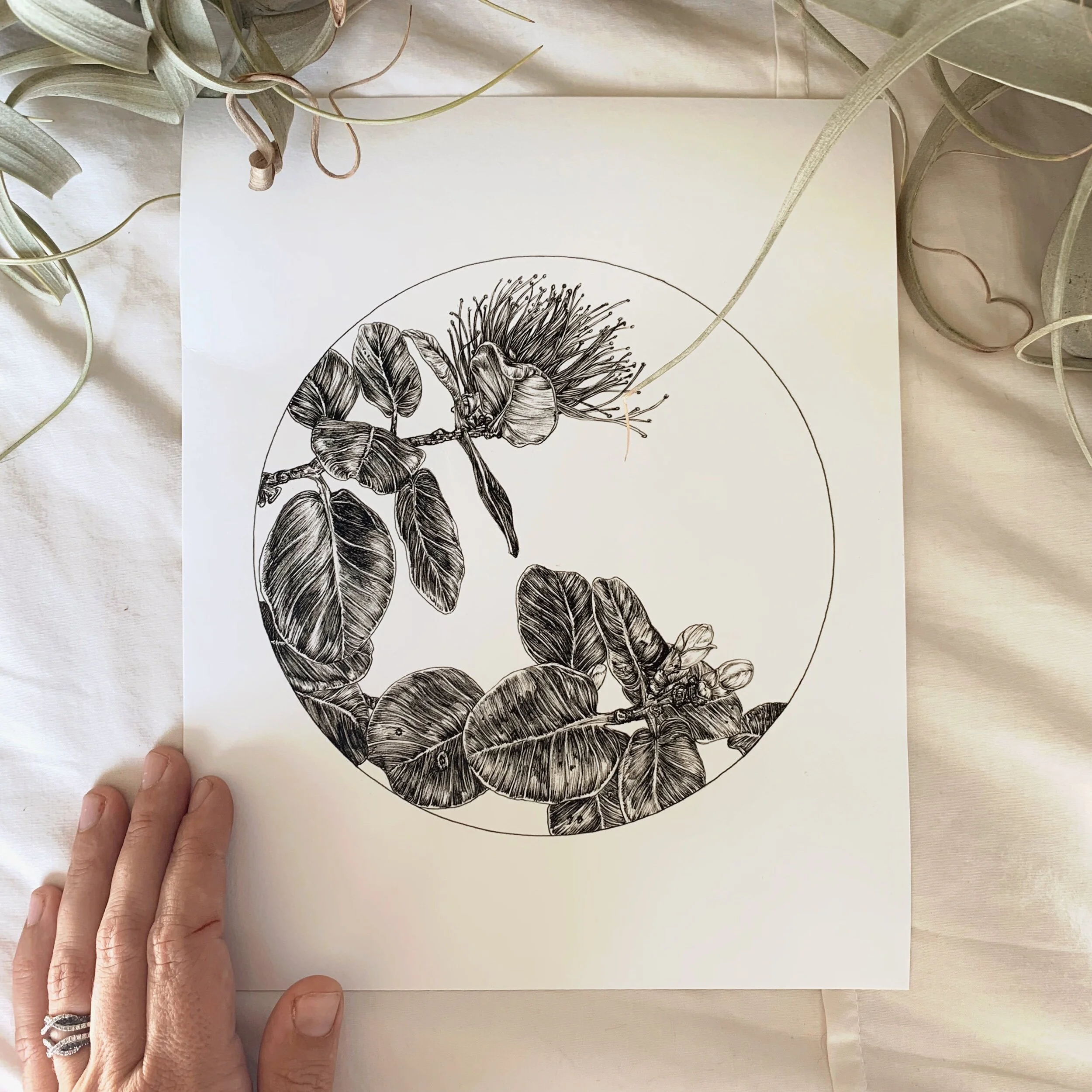 9475FC55-3E8D-432F-B1F6-B4A8A9ACFC15