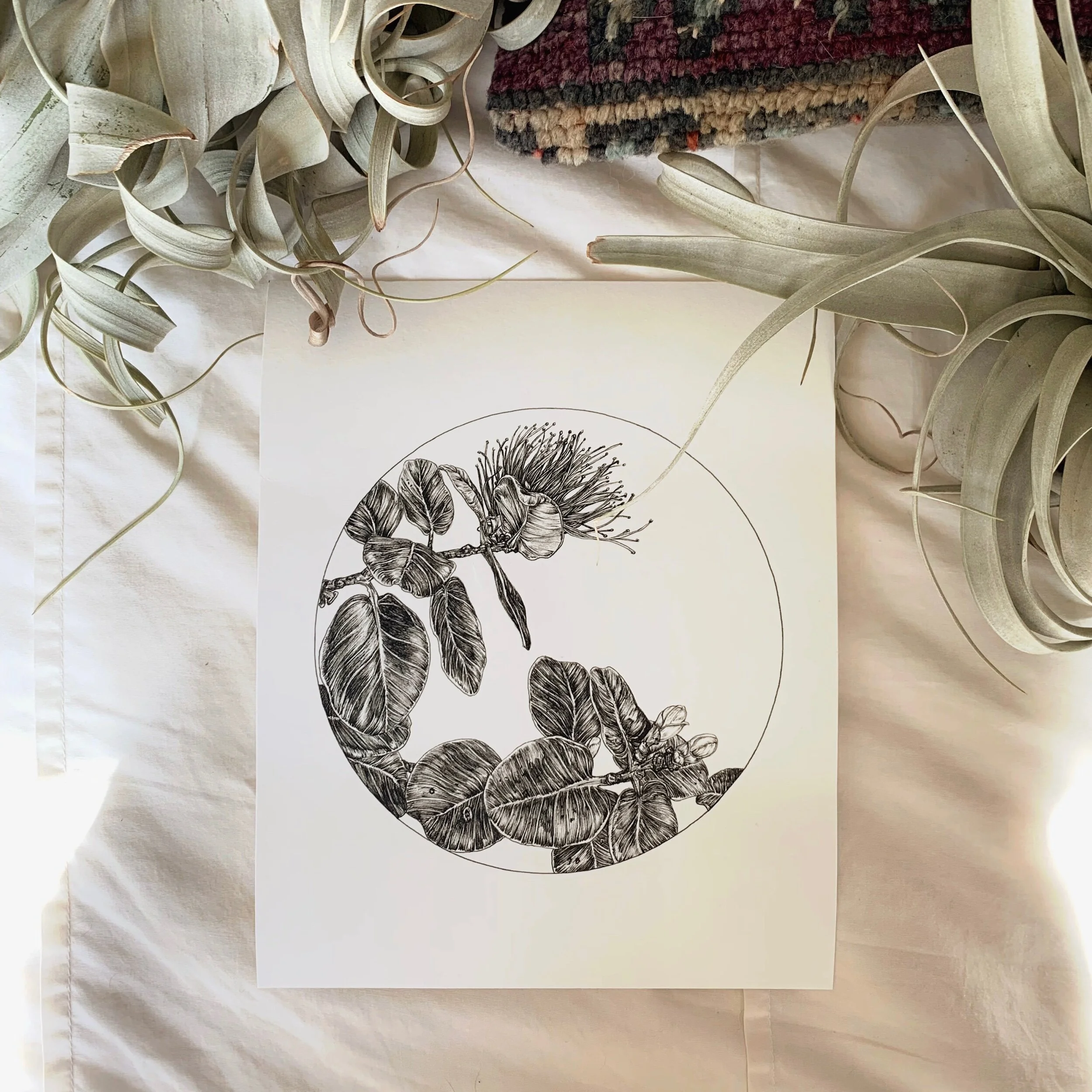 0AE4C42F-DC87-4677-BECC-EA6D17B98DCD