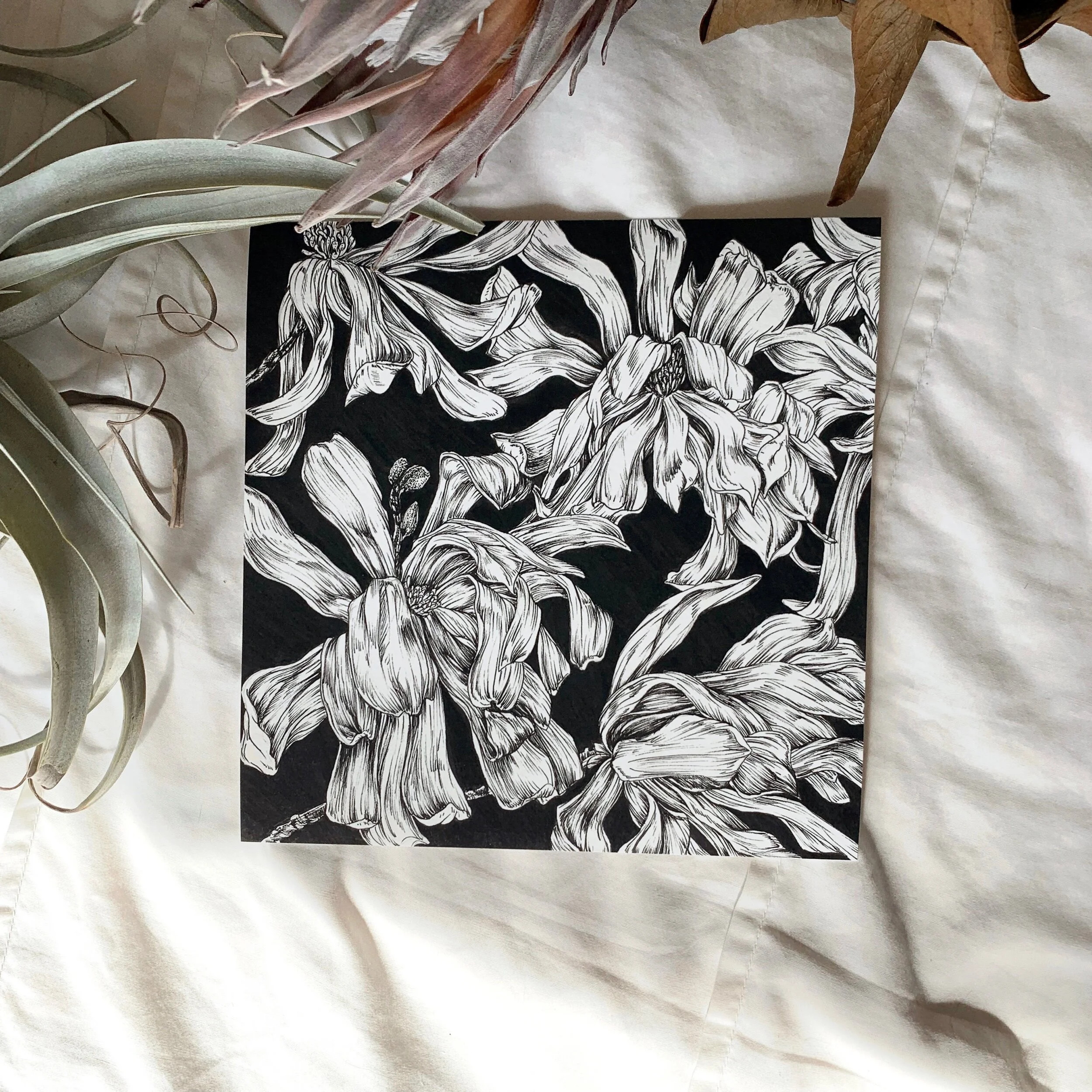 2DD2AED2-A191-4FDE-927E-29FD6DEA7E98