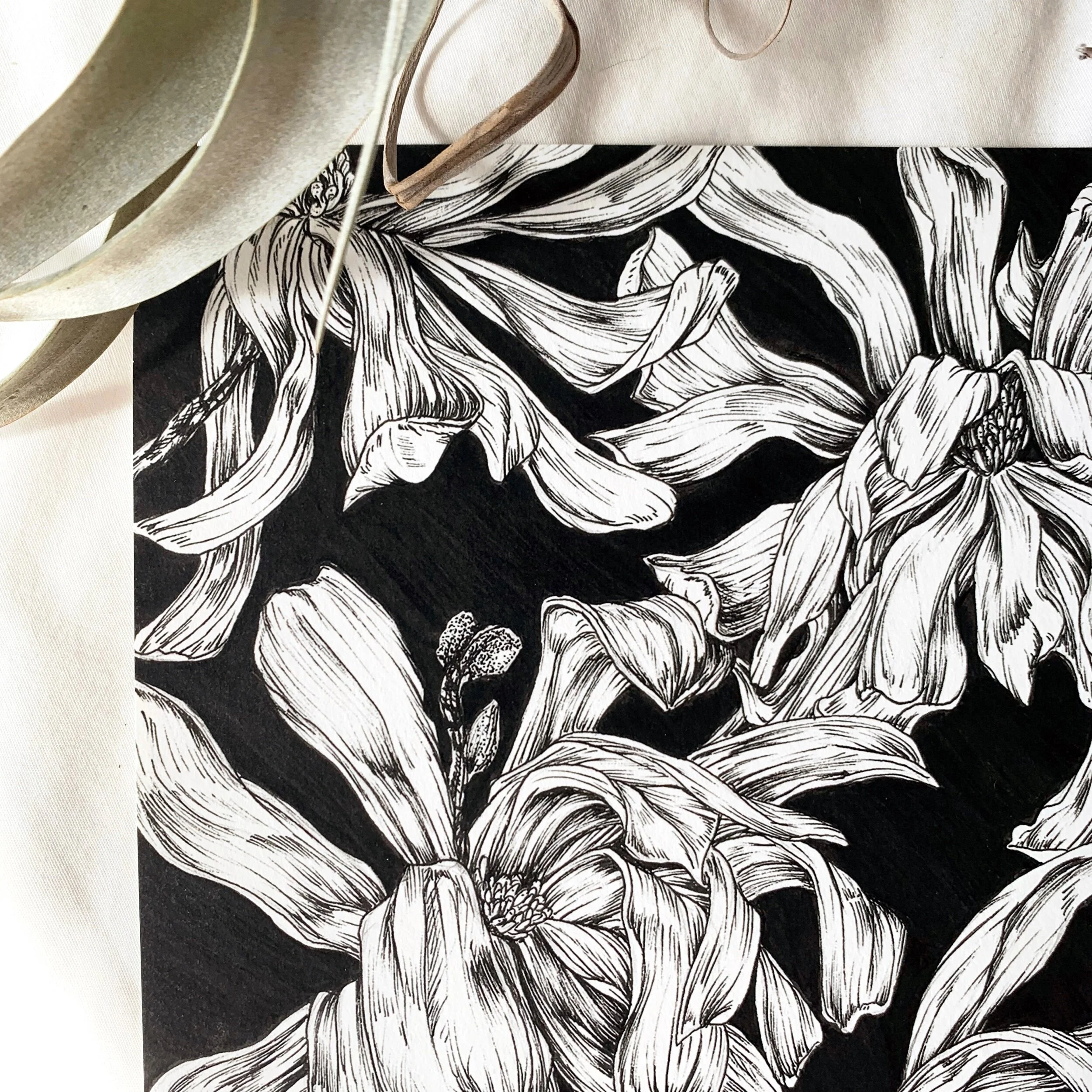 75BFD422-0B1B-4C2A-BAEB-8375B2624FF7