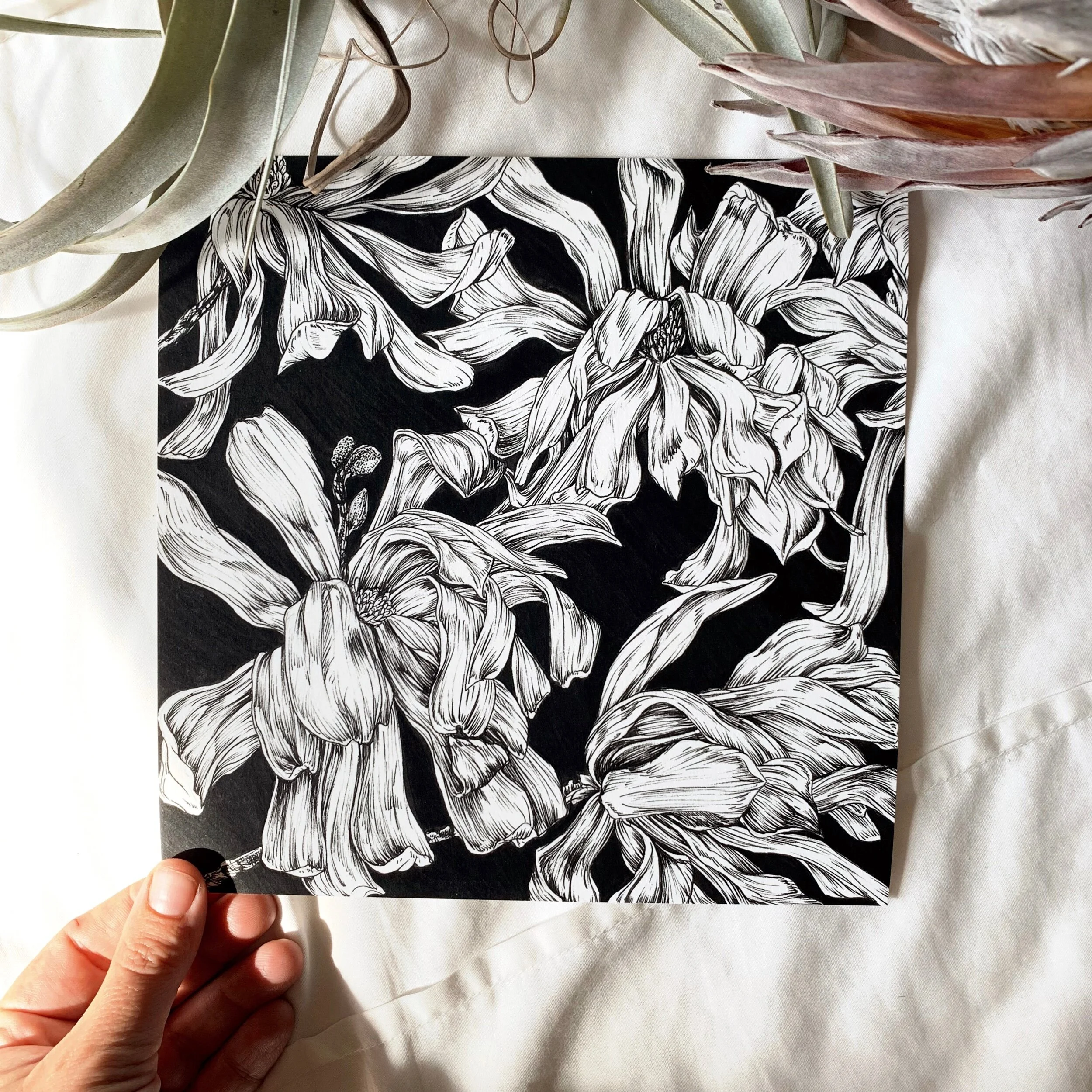 2CC7B138-599F-4CA6-9E33-312103E05AA3