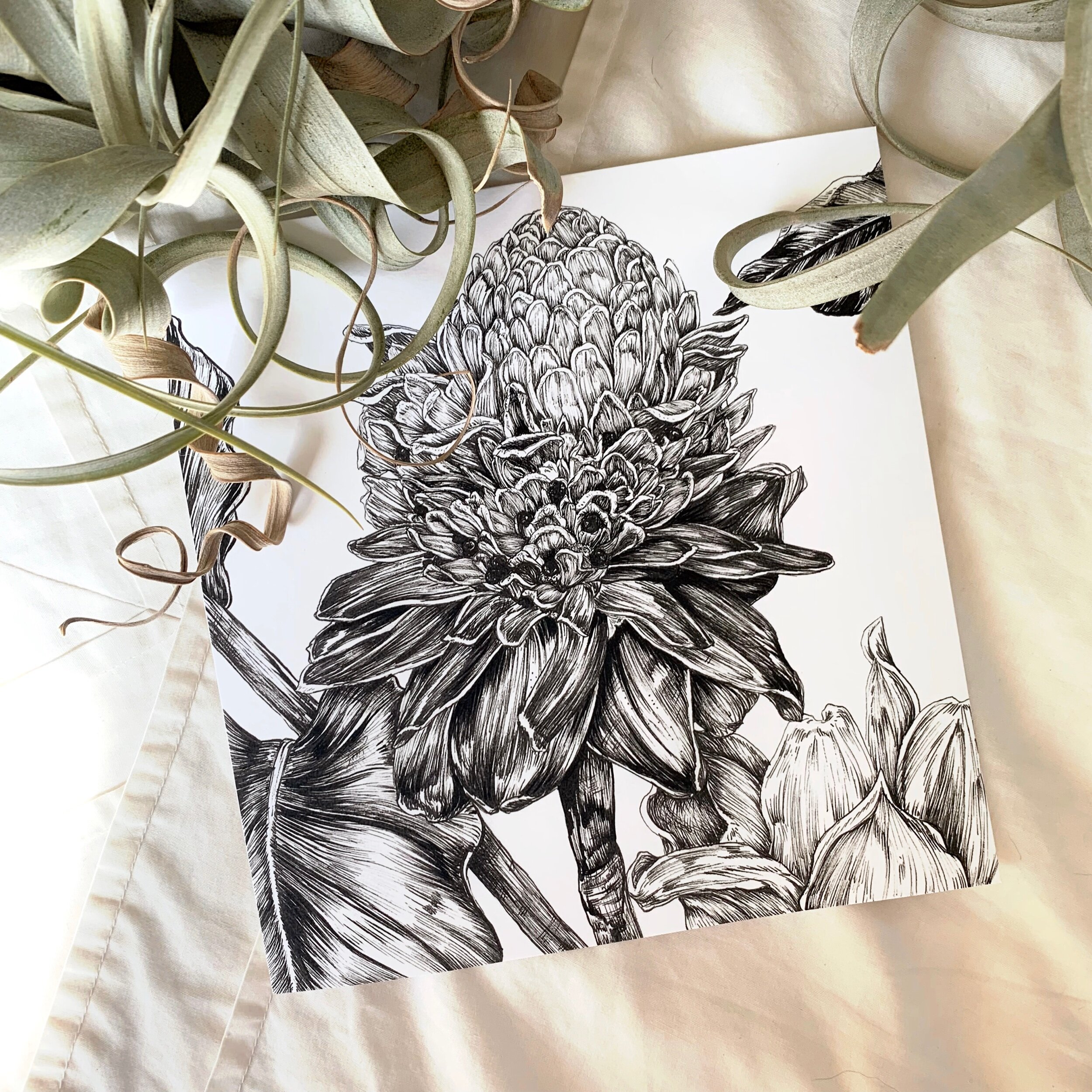 DB29A5CB-EA32-480D-A61C-56C4709BE55C