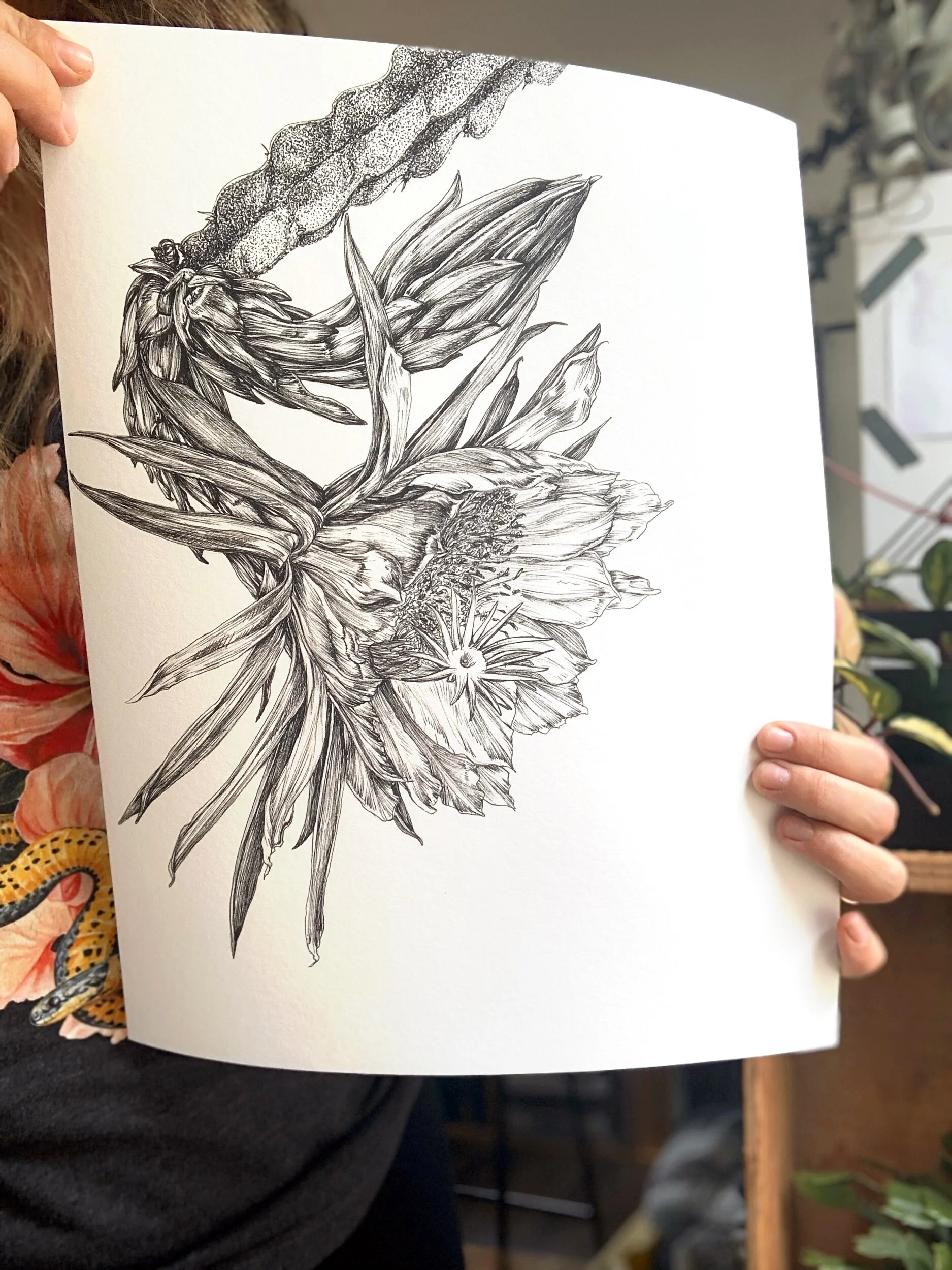 938C63B9-851D-4D24-BB41-2E6F93869FFE