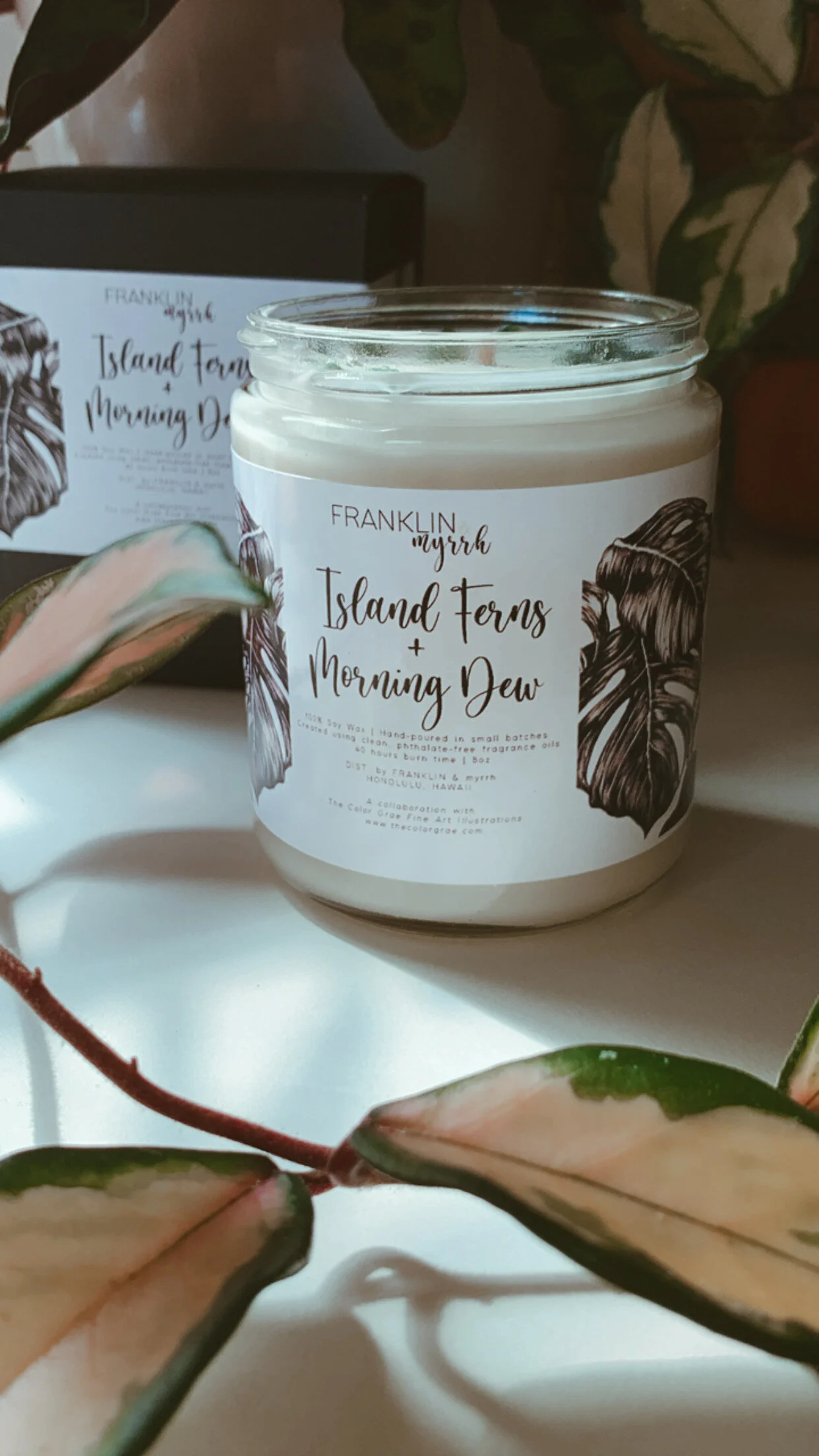 1438EDD4-9925-4C8A-A18F-3718ABC94F90