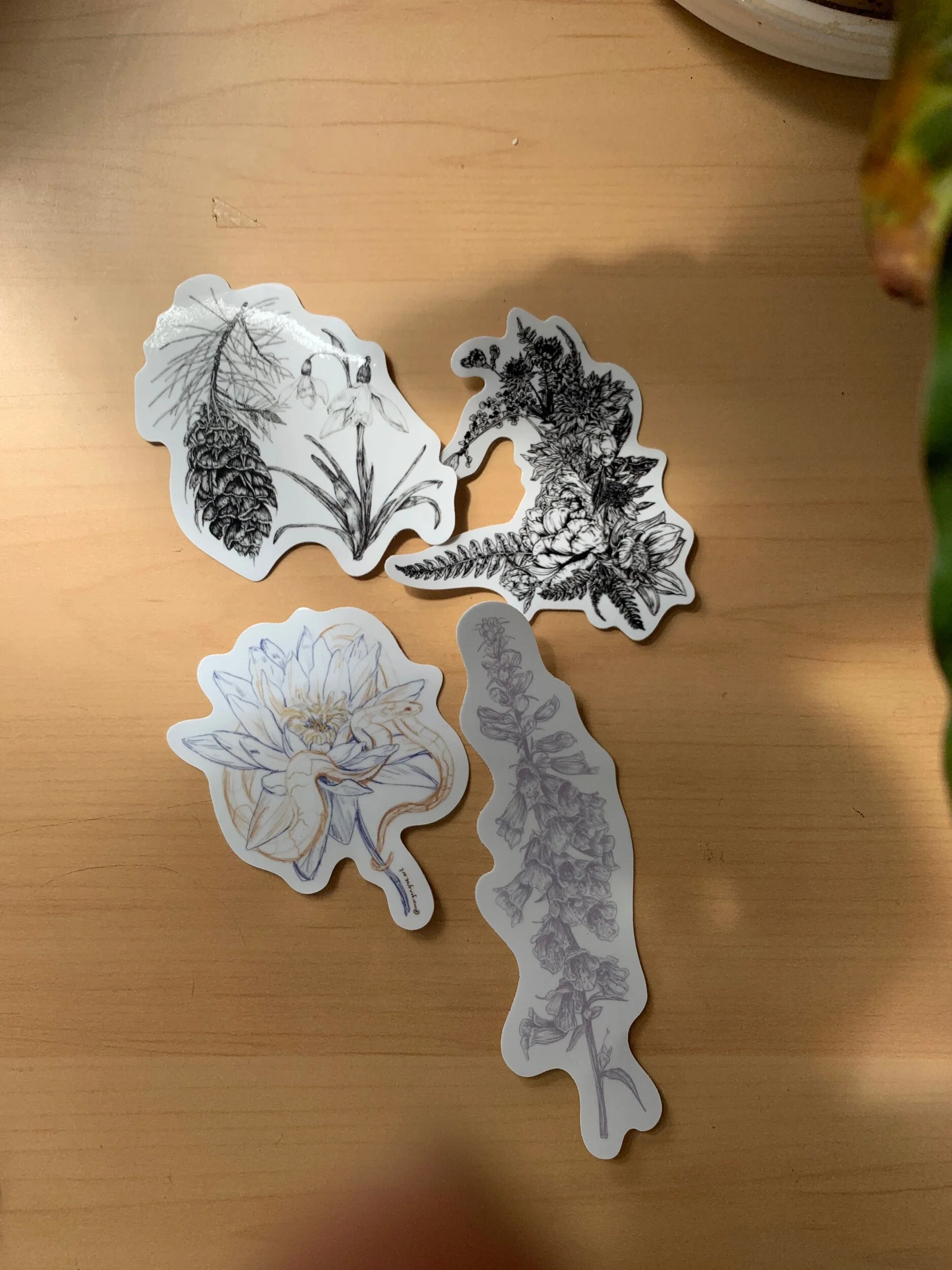 BCB92862-F050-4AC7-B81A-1D22EBD5B00D