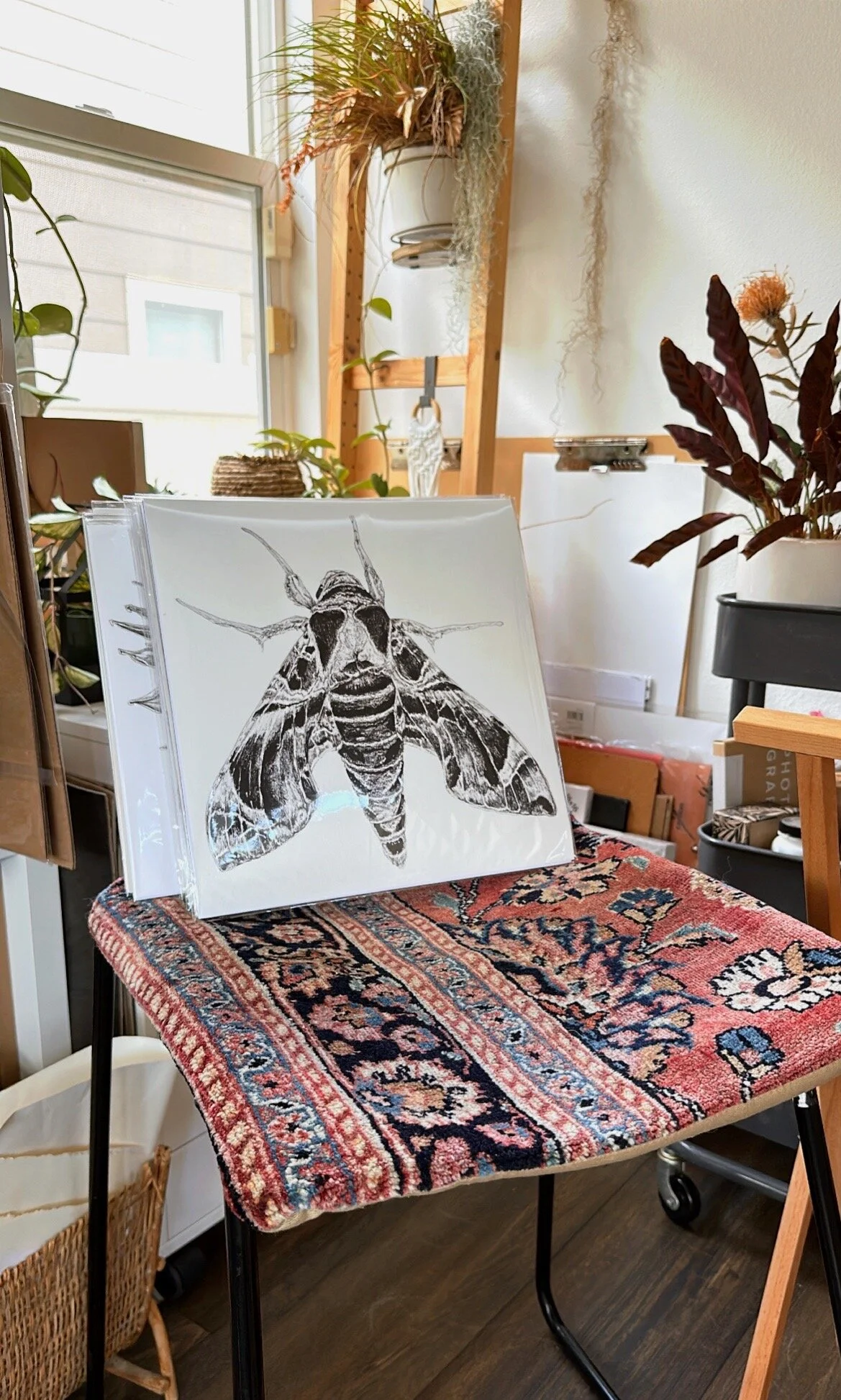 54A71362-7CDB-4D04-9AA2-E69B992B5ED7