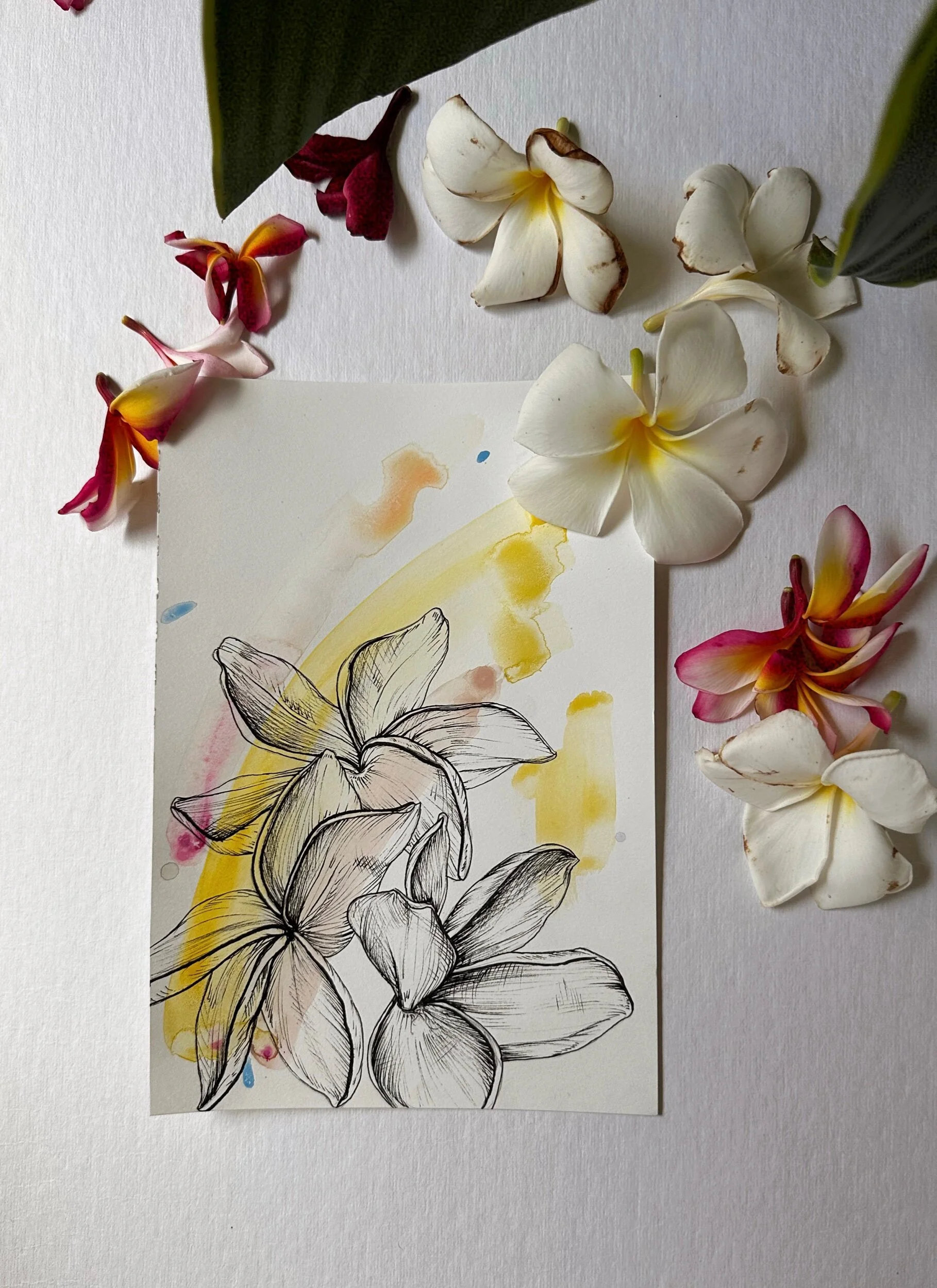 94B93181-D4A5-48D9-ABA1-699309C4DF95