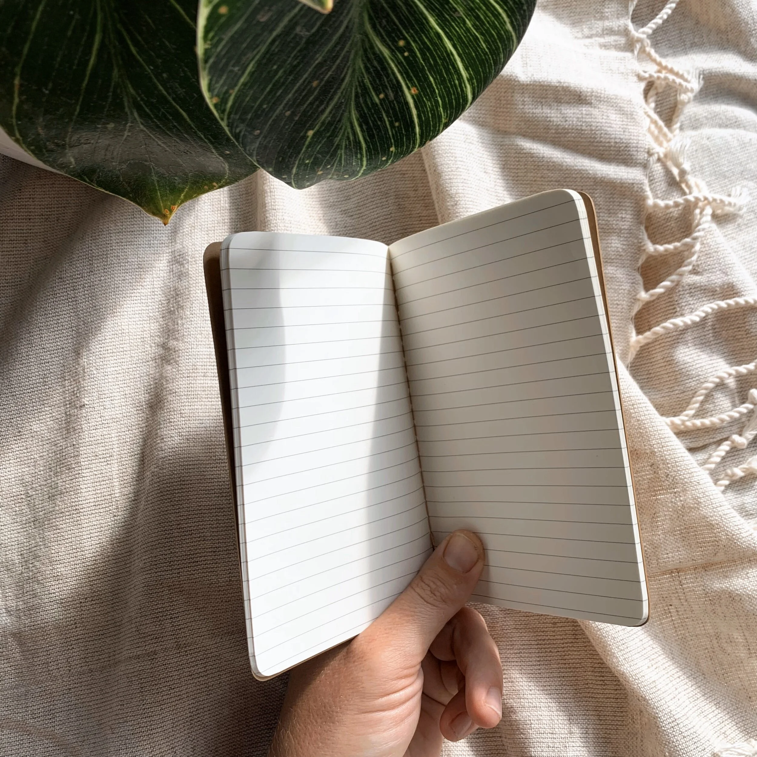 AF49FE30-8E3F-49C5-9DE0-1CEC71E6EE23