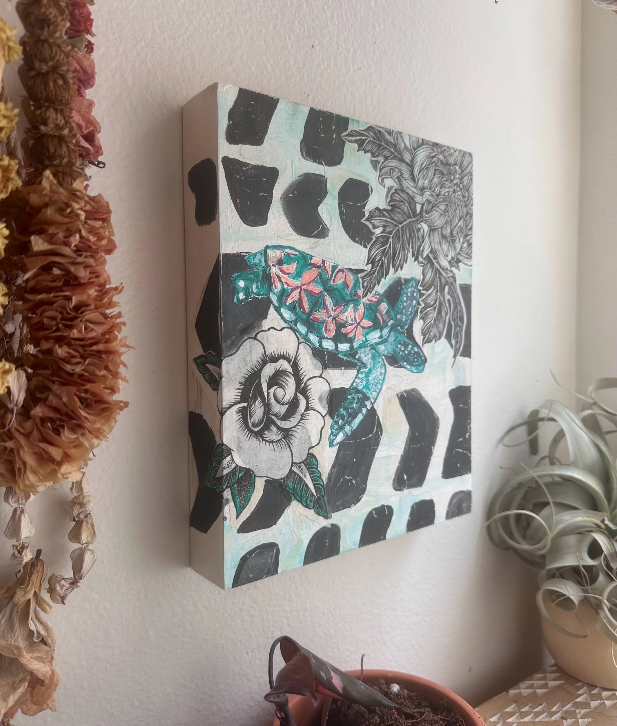 Sara x Morgan Collab Turtle with Mono