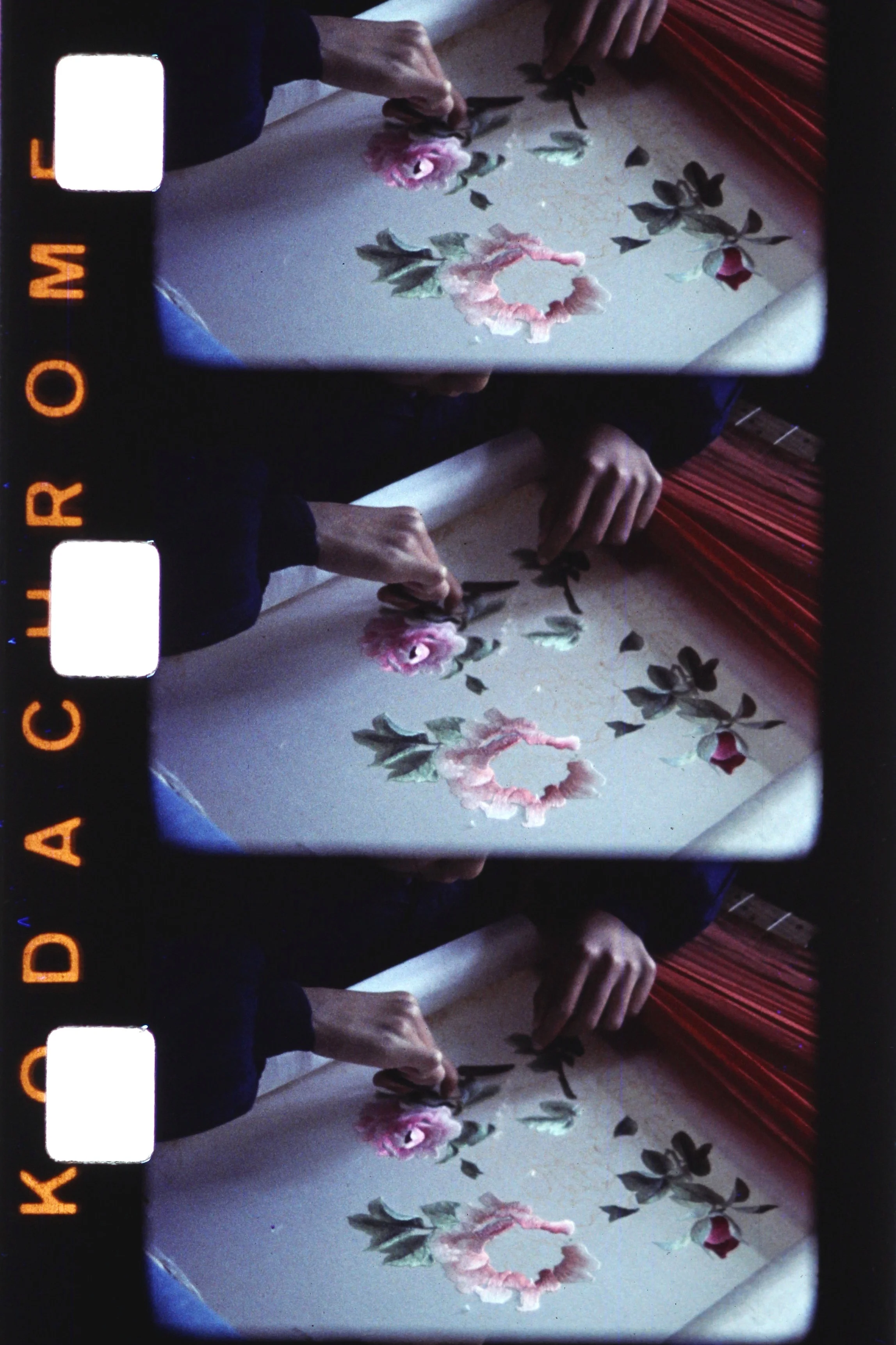 Photogrammes d’un film super 8 de M. Lecoq