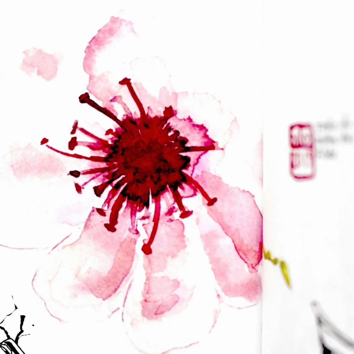 #4 - Ling Ling - 陈小 / Arnaud