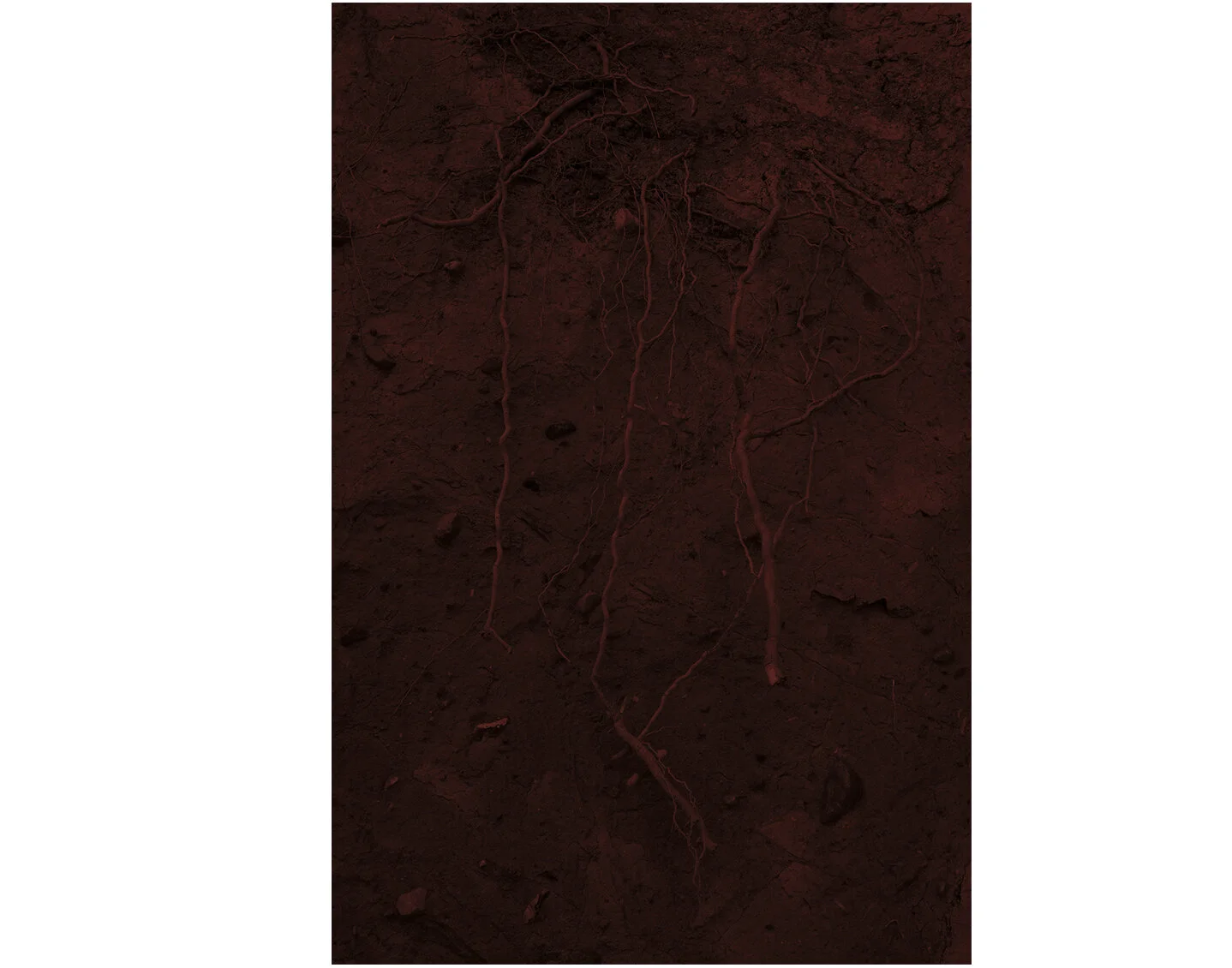   Source I #01 , C-print, 100 x 150 cm 