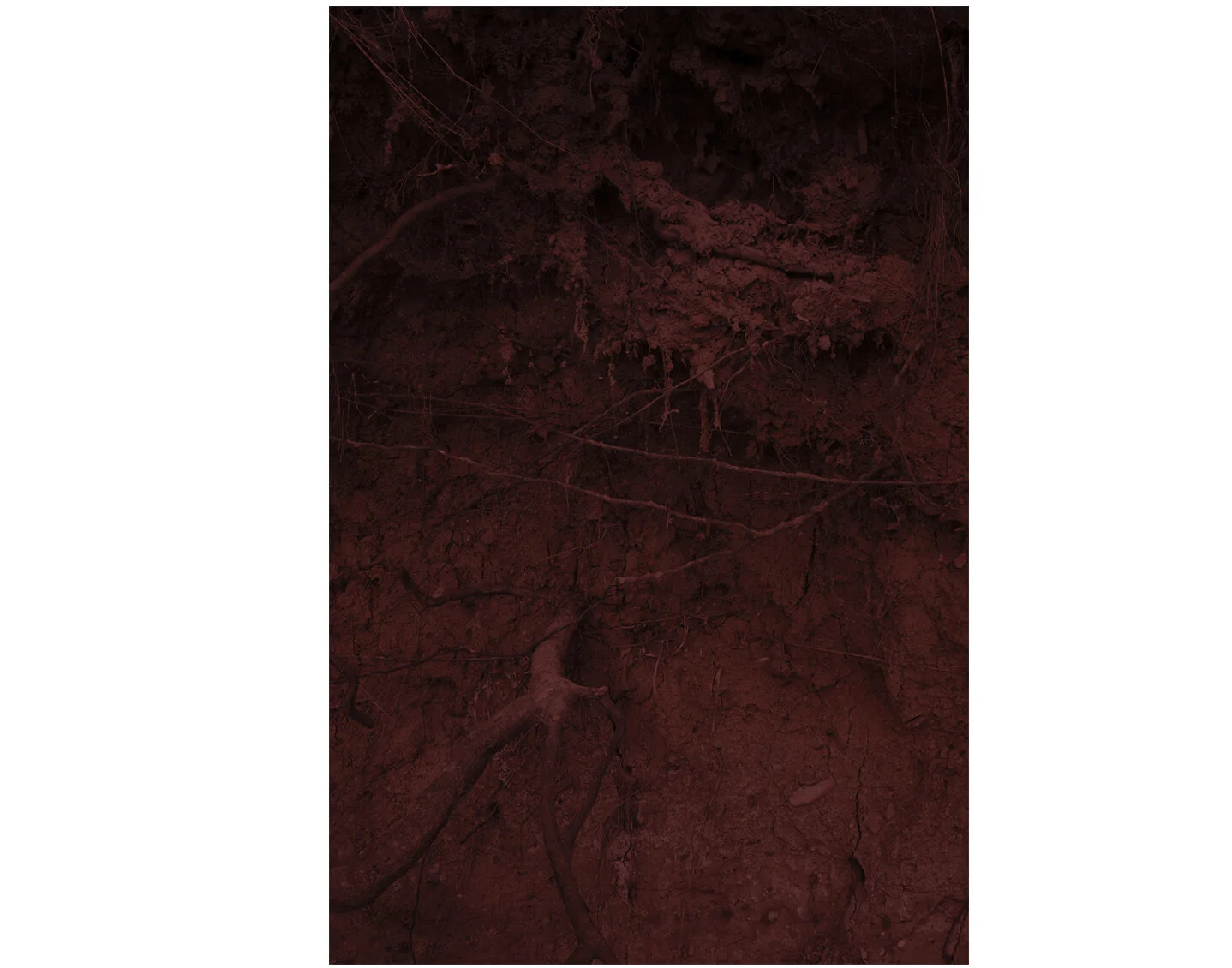   Source I #03 , C-print, 100 x 150 cm 