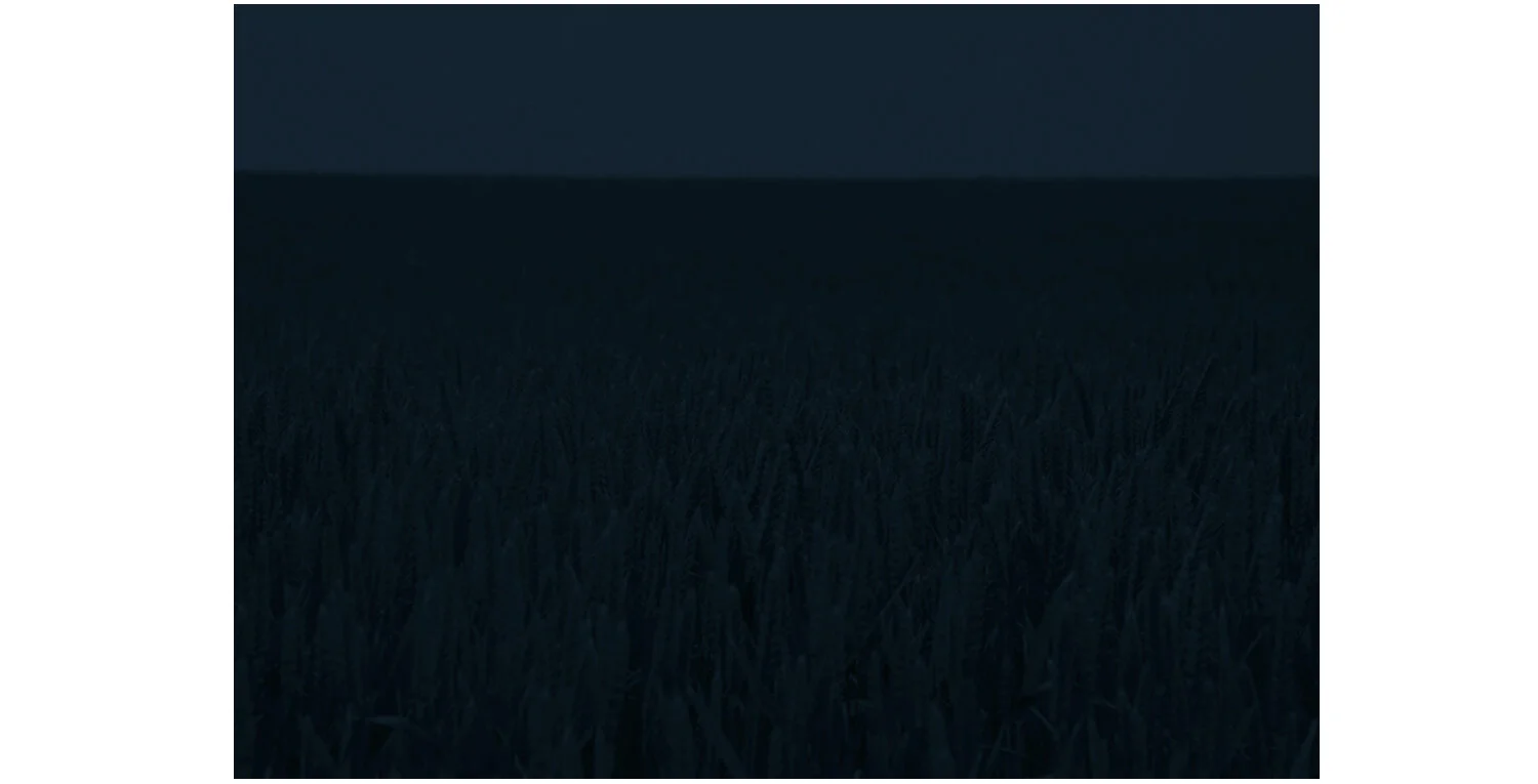   After Dark #04 , C-Print, 50x70 cm 