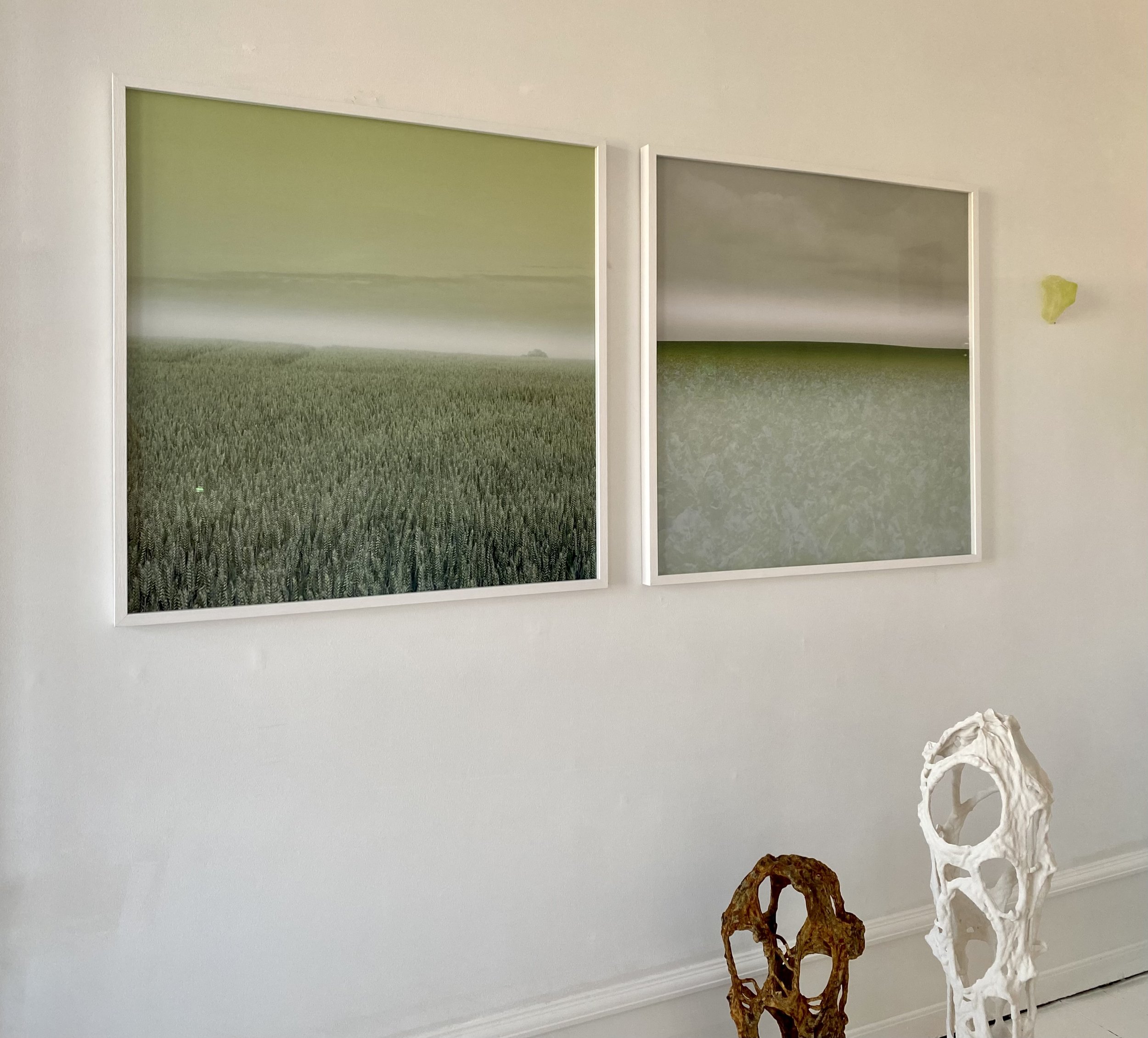  Anne Aarsland Gallery, 2021 