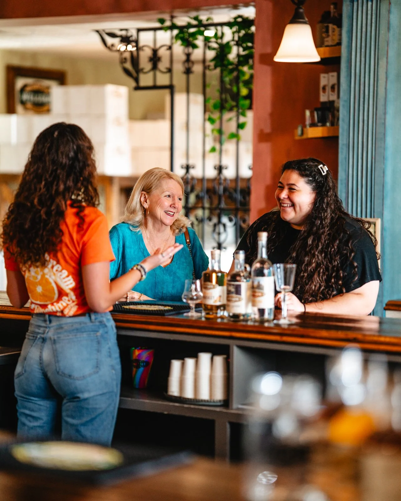 WebRes (2 of 132).jpg