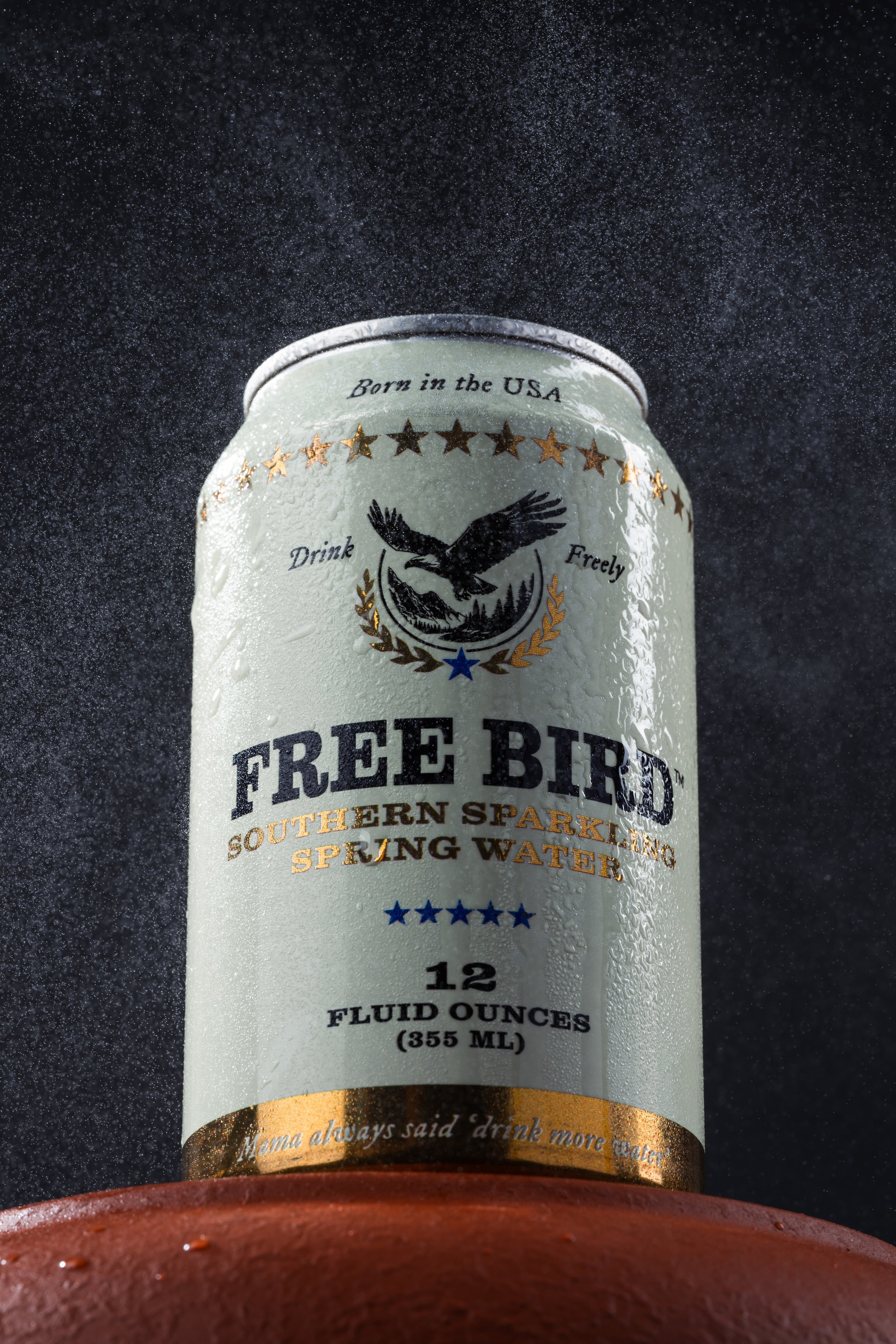 Free Bird Water x Michael Walker #17 copy.jpg