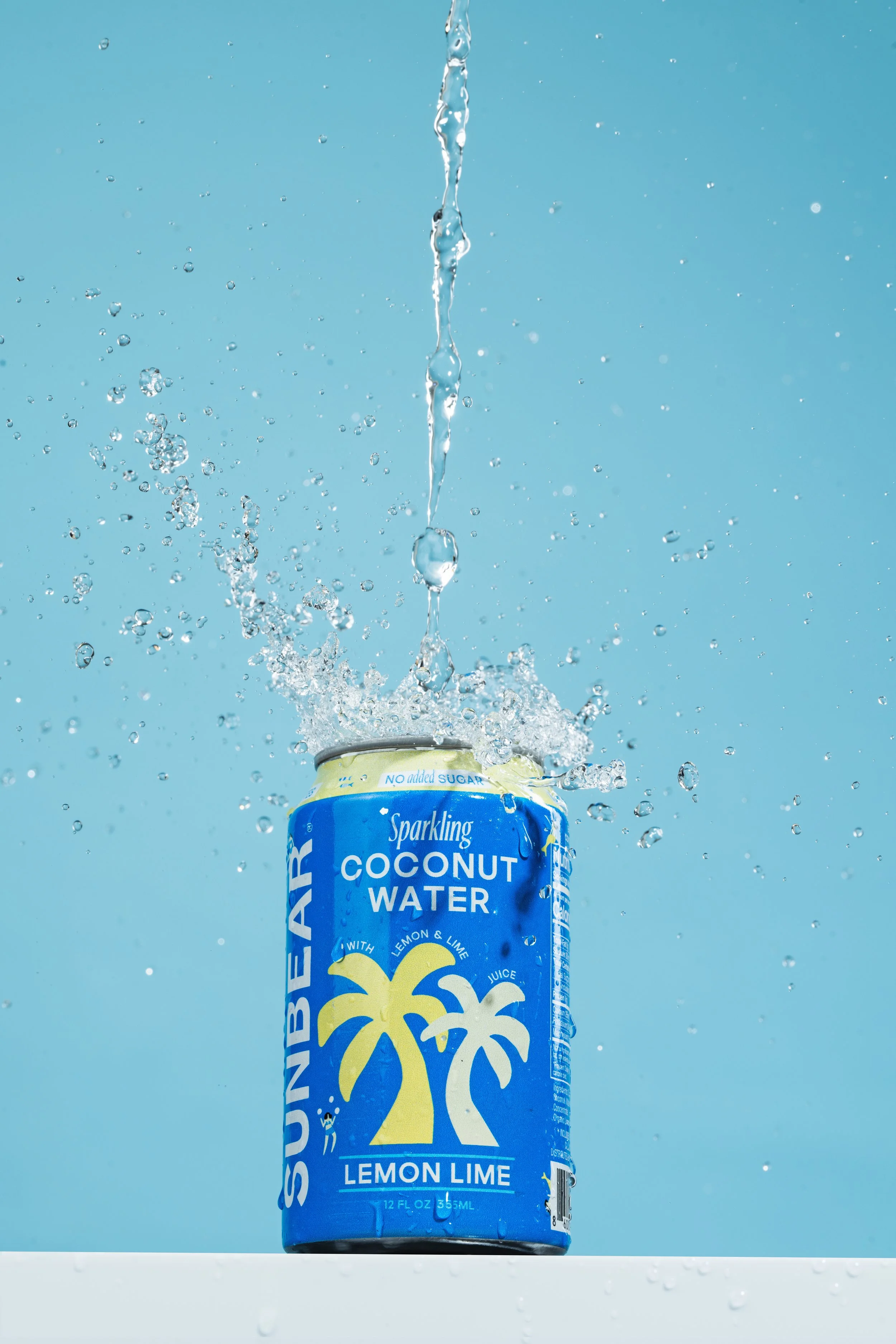 Sunbear x Michael Walker #7 copy.jpg