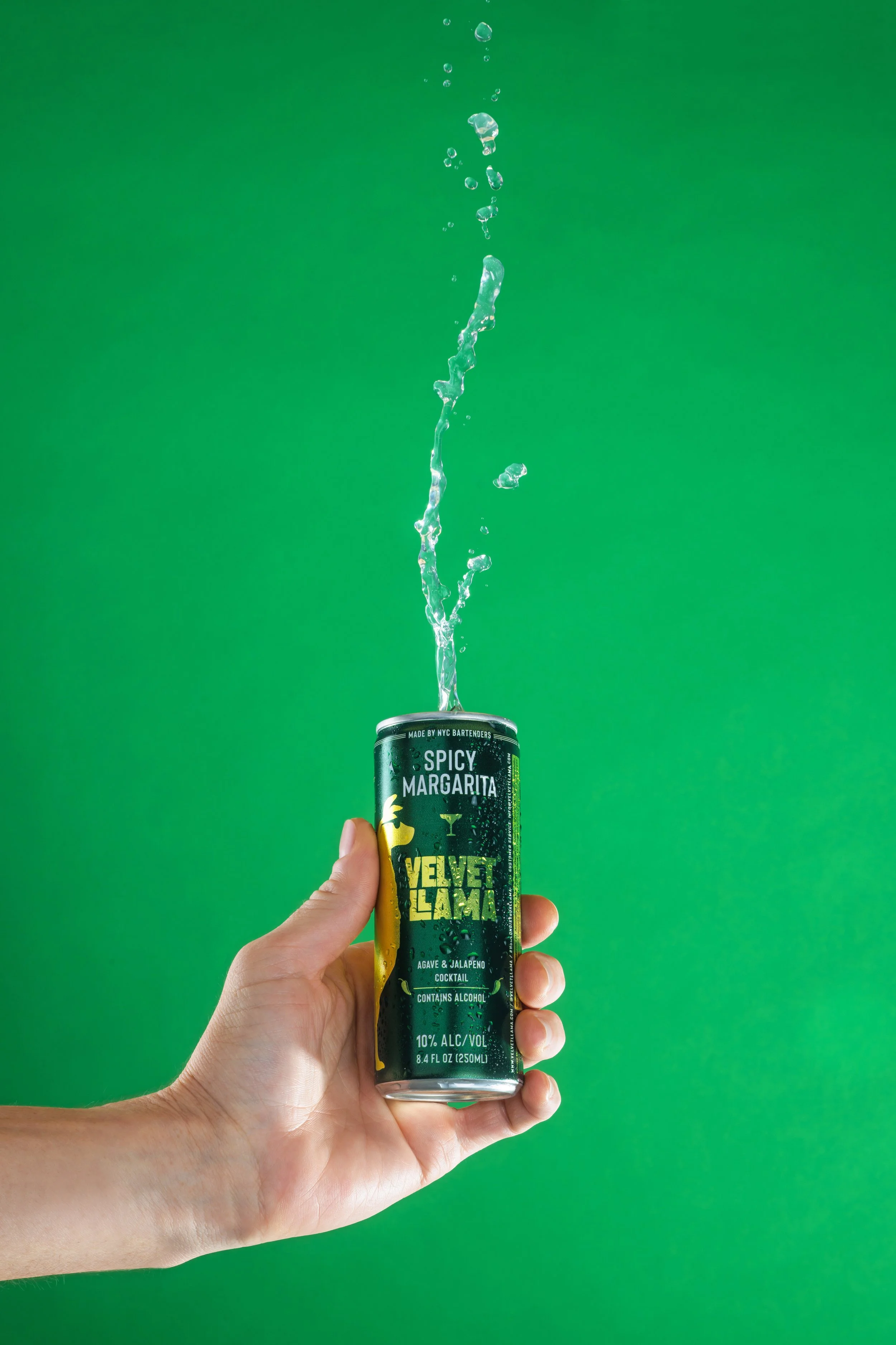 Velvet Llama x Michael Walker #2 copy.jpg