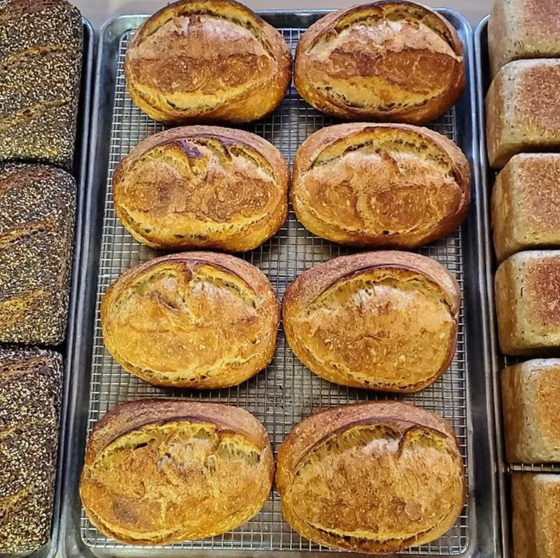 Creature Bread