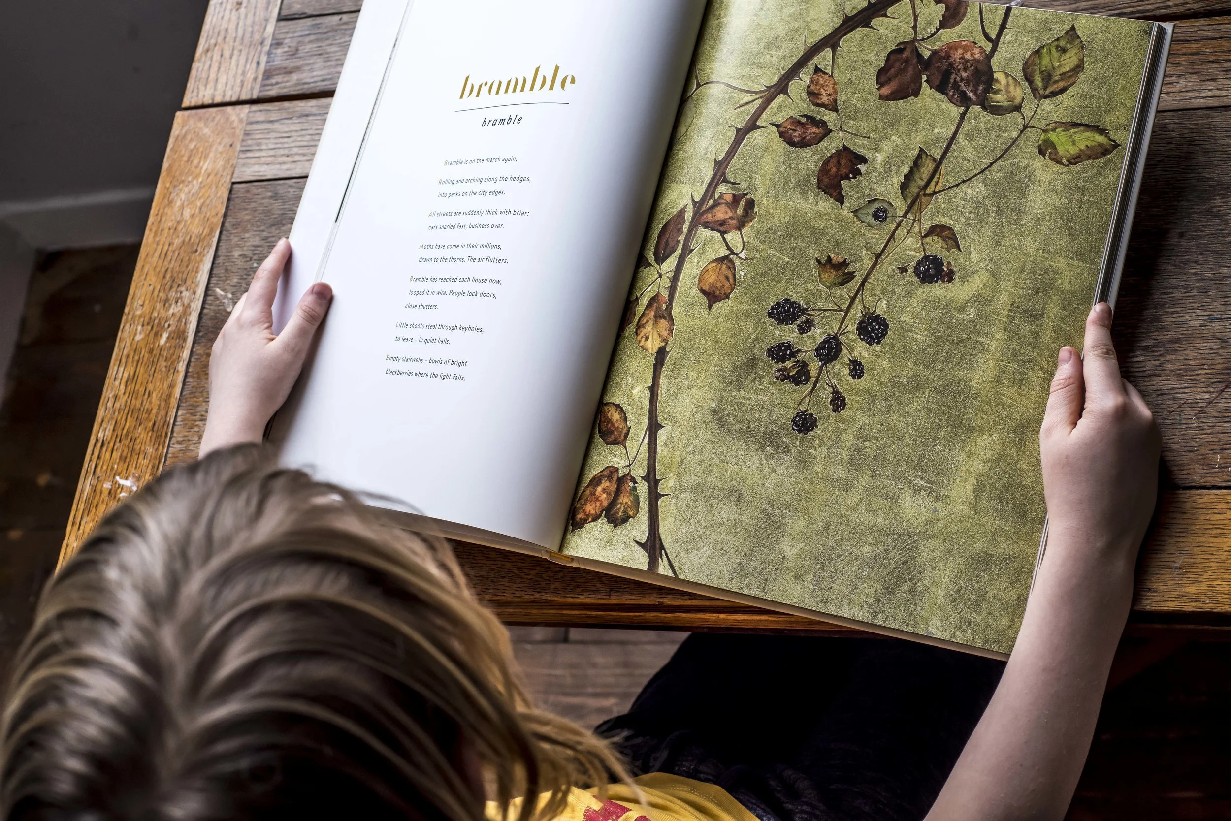 LOST WORDS - SEEK FIND SPEAK