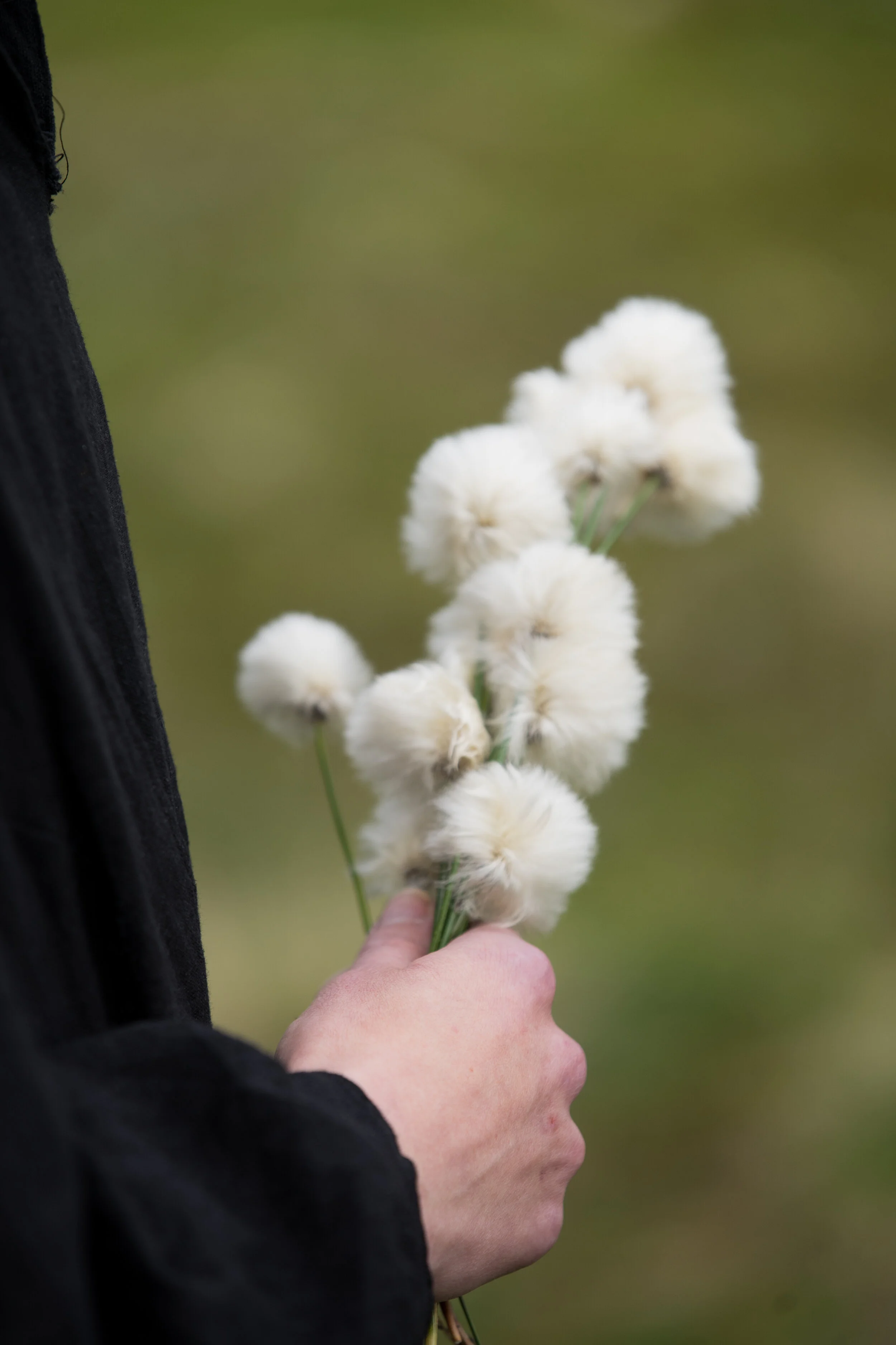 Finse_PABPAO_2020 (82 of 207).jpg