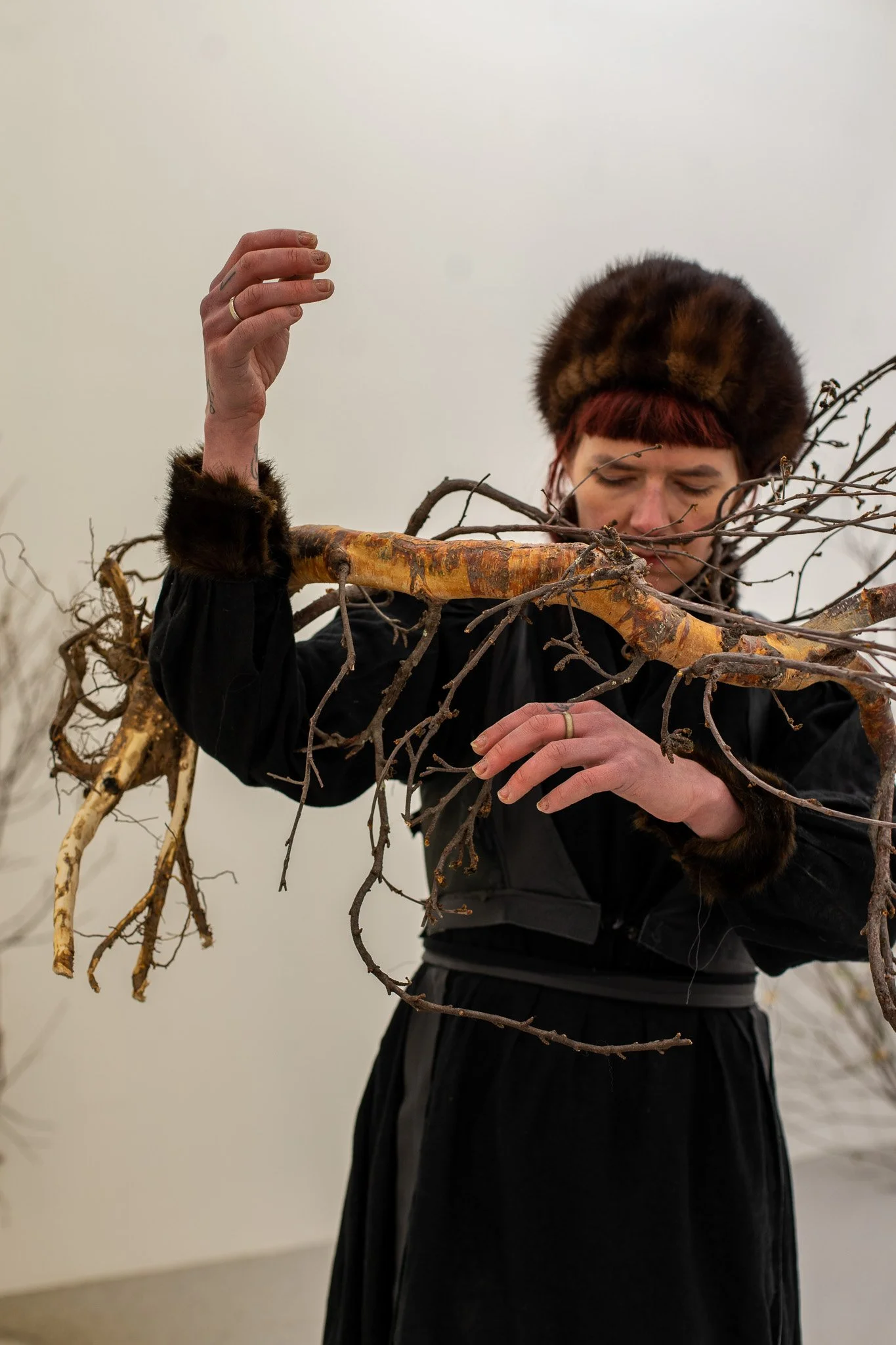 Forest Conversation 2-01.jpg