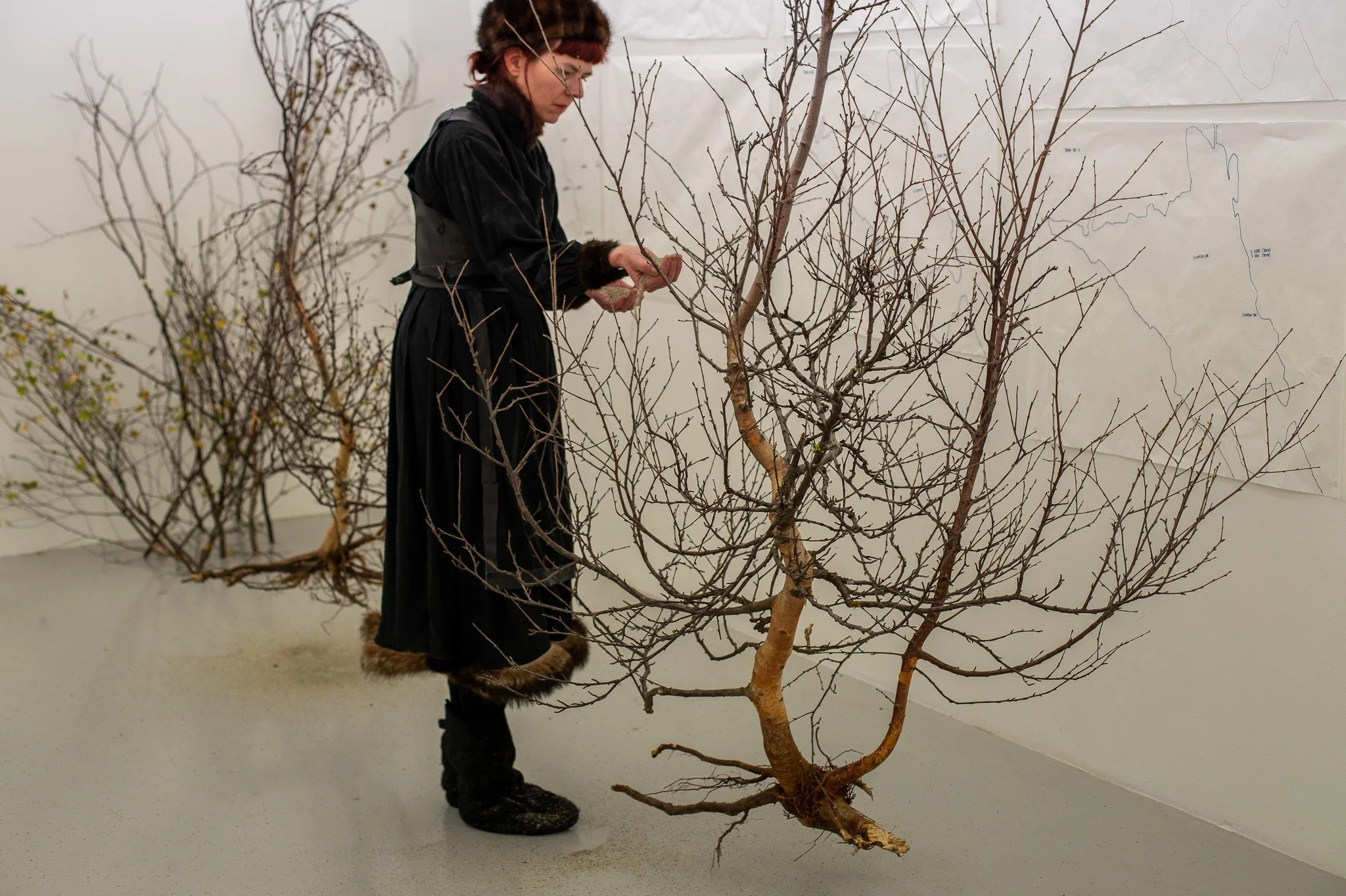 Forest Conversation 2-02.jpg