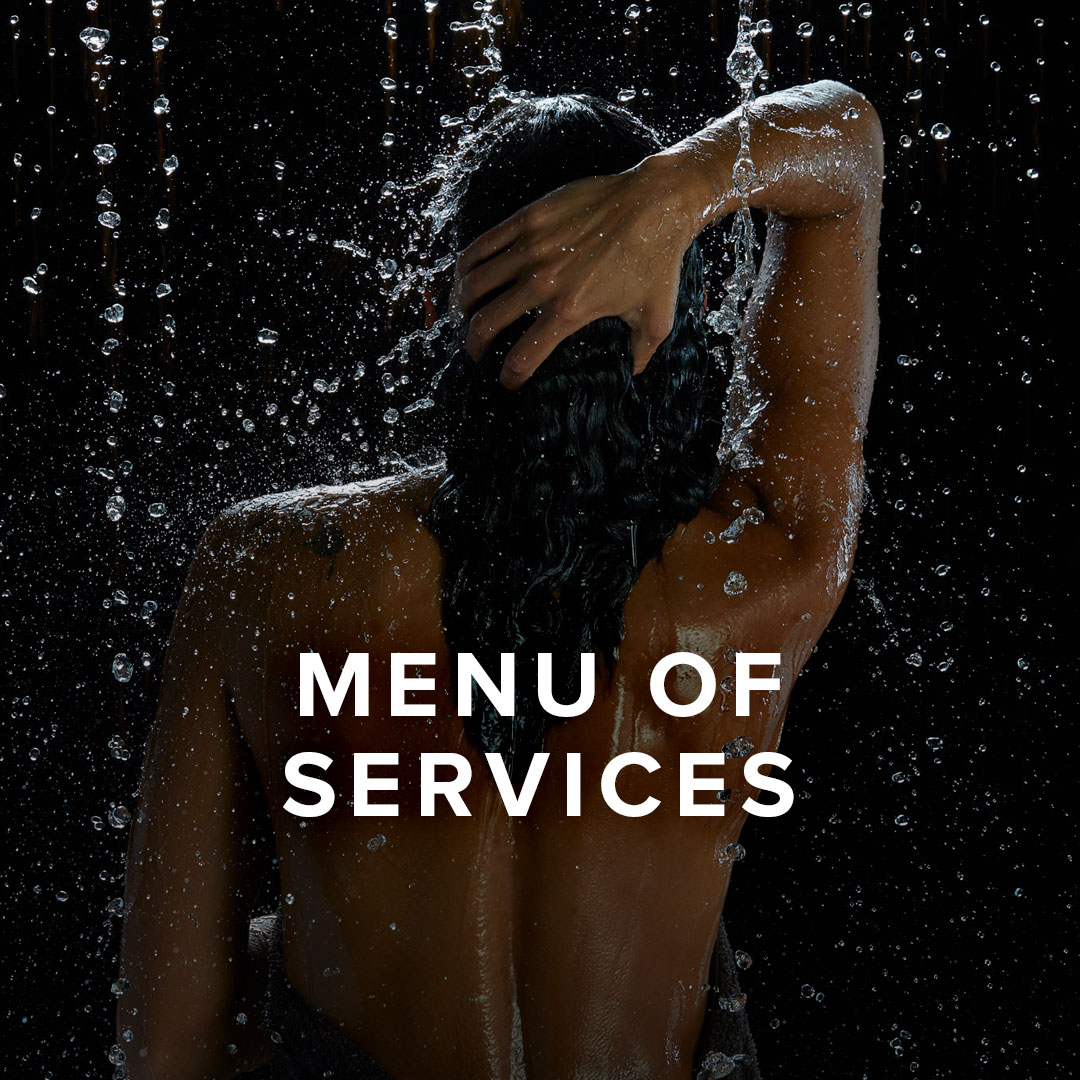 Menu of Services