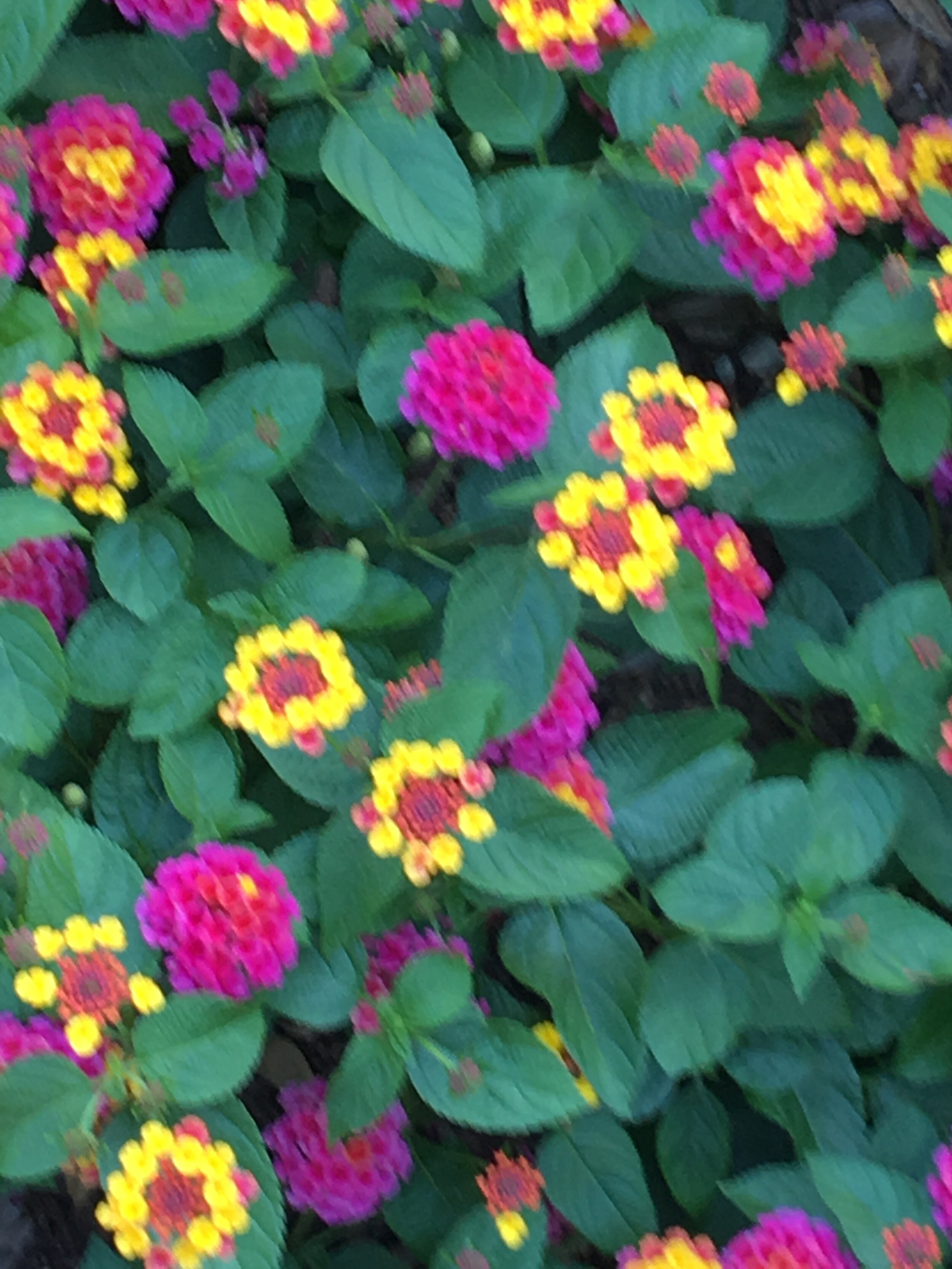 From Languishing to Flourishing