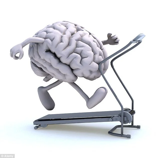 Brain on treadmill.jfif
