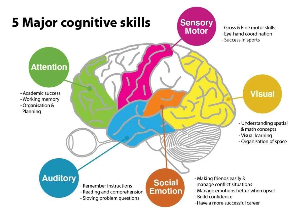 Brain cognitive skills.jfif