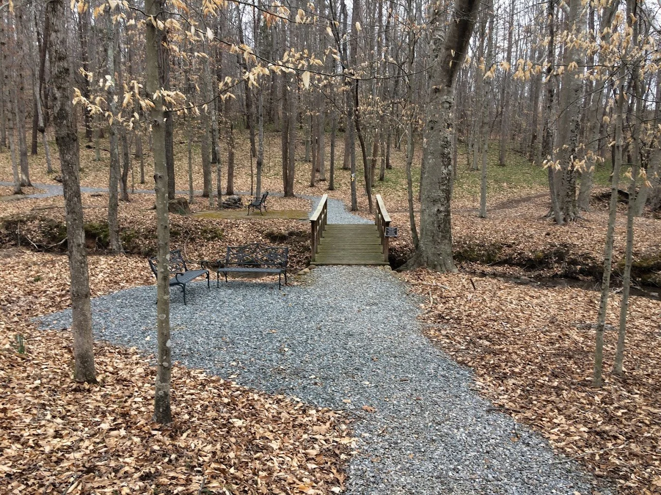 "The Still Point"                                            Silent Retreat