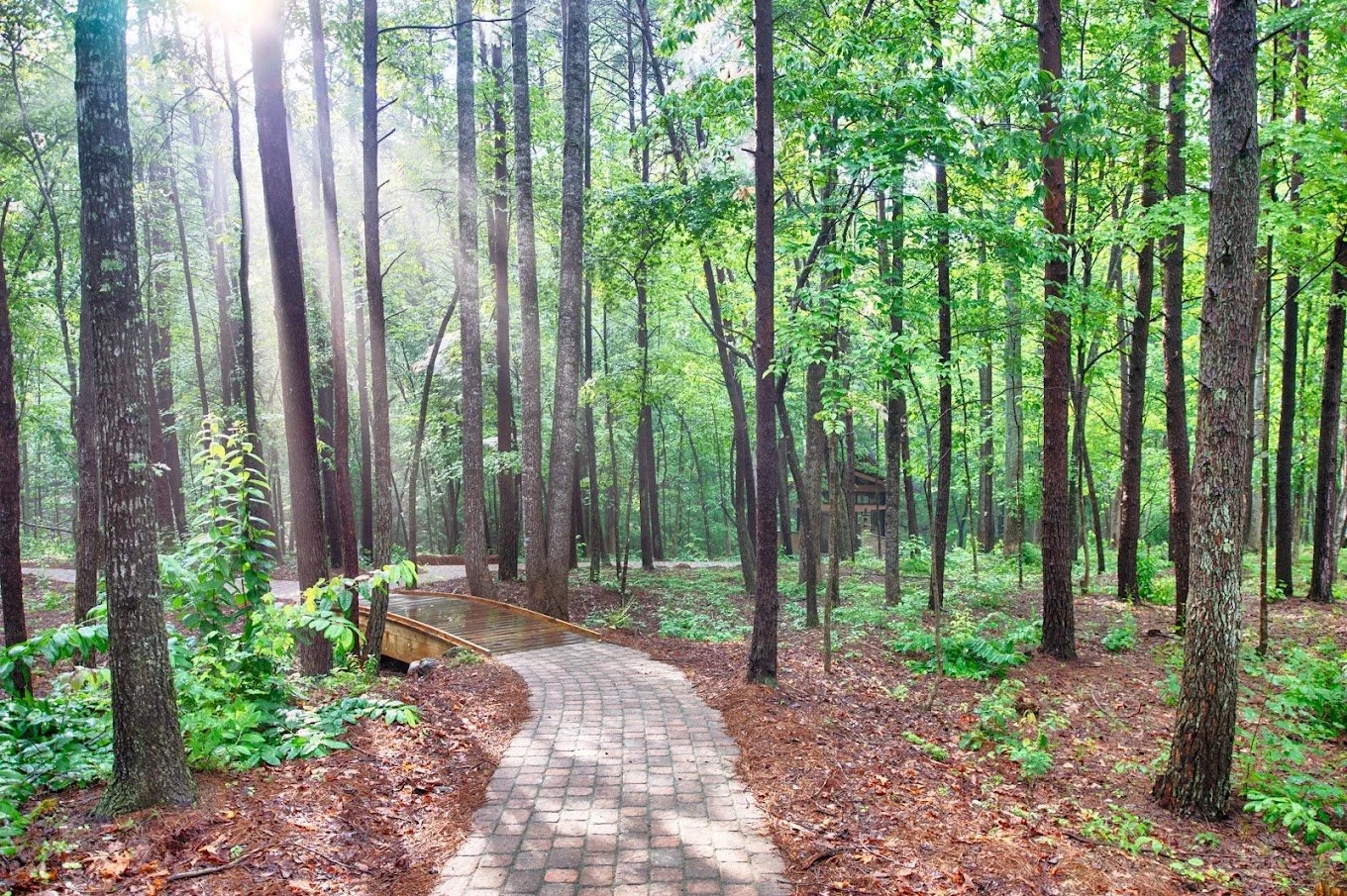 Prayer Path, St Francis.jpg