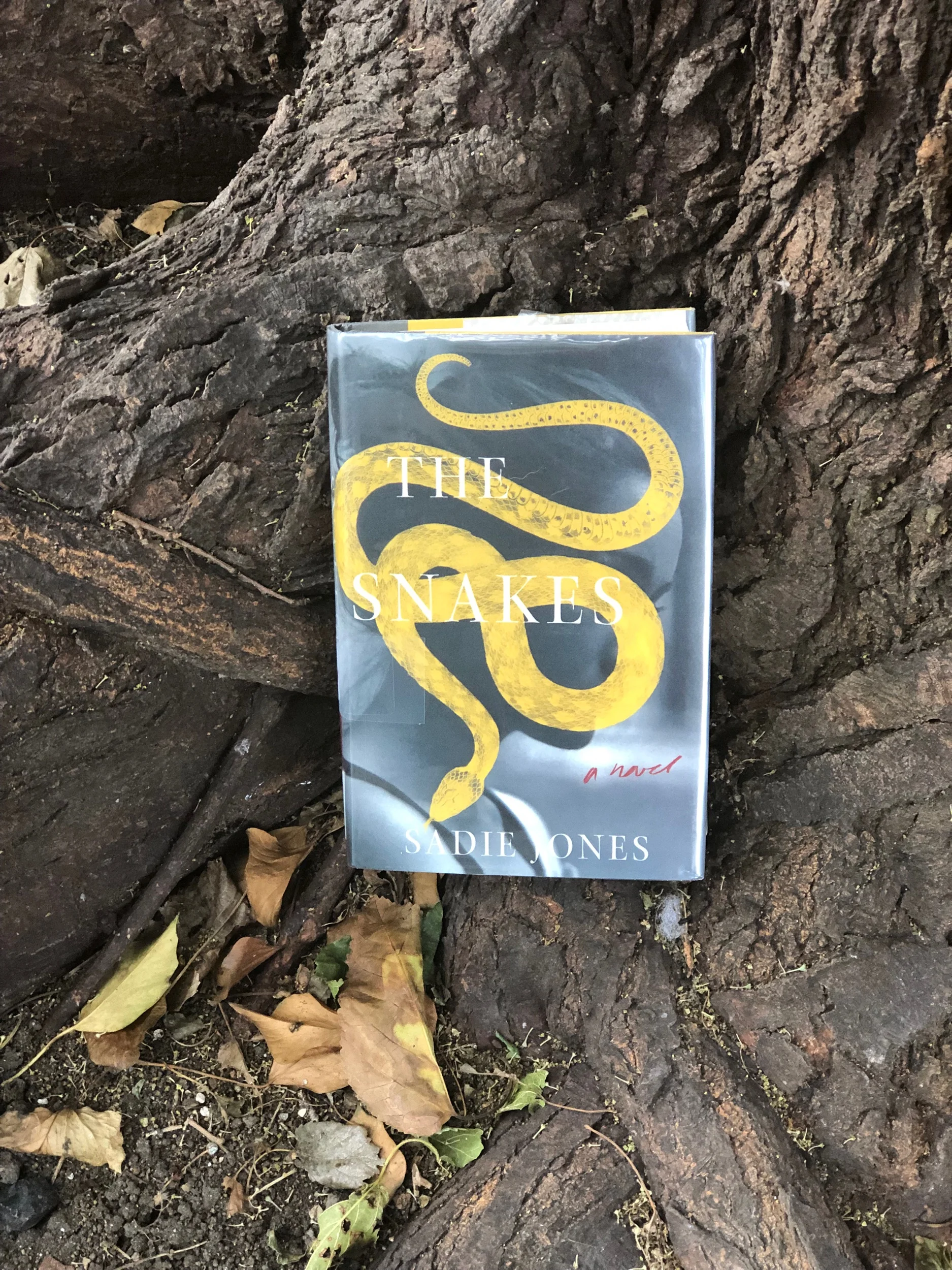 Blast from the Past: "The Westing Game" by Ellen Raskin — She's Full of Lit