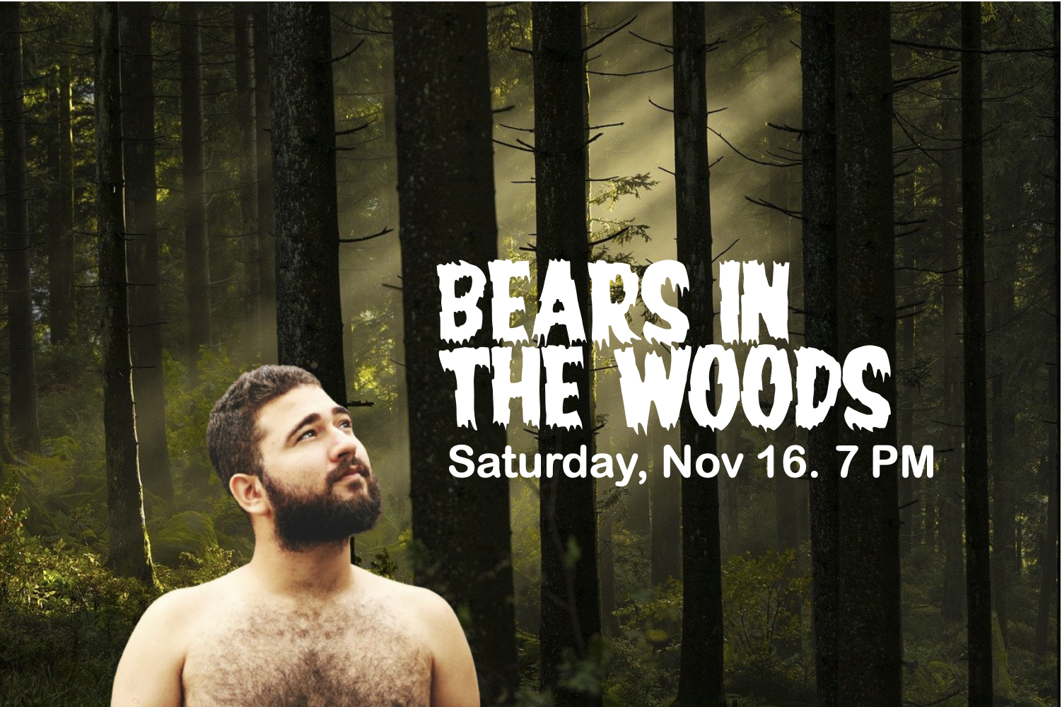 Bears in the Woods