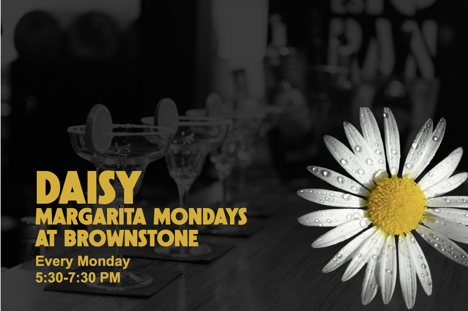 Daisy: Margarita Mondays at Brownstone